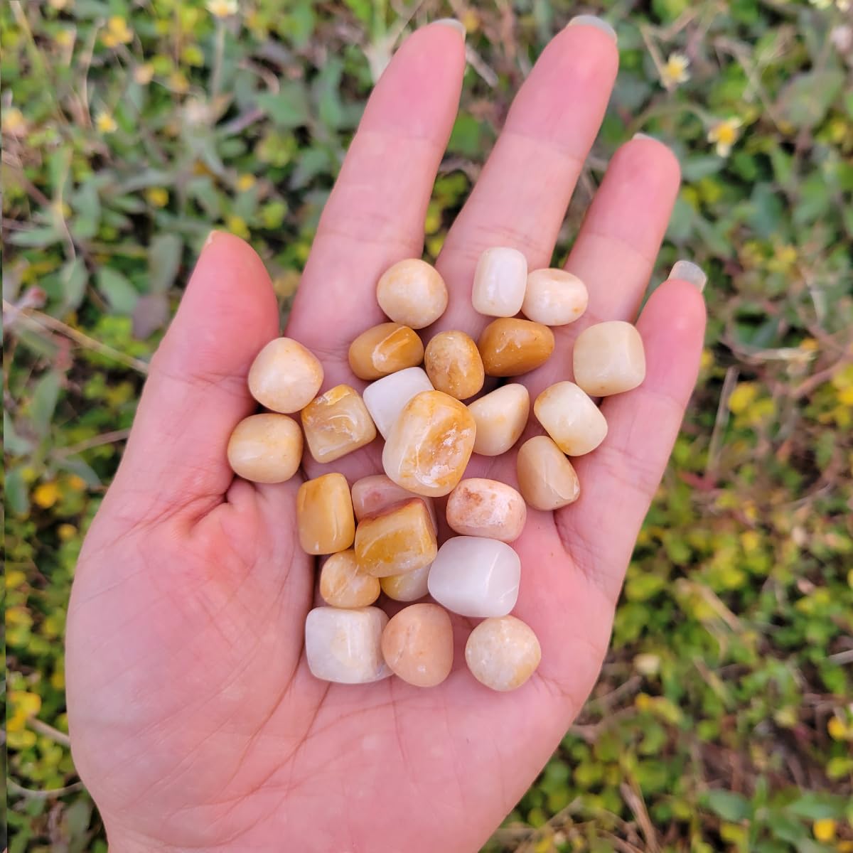 1,000 Carats Handpicked Tumbled Stones Crystals Chips Bulk Pocket Stones for Healing, Reiki, Meditation, Witchcraft and Home Decorations (Yellow Aventurine)