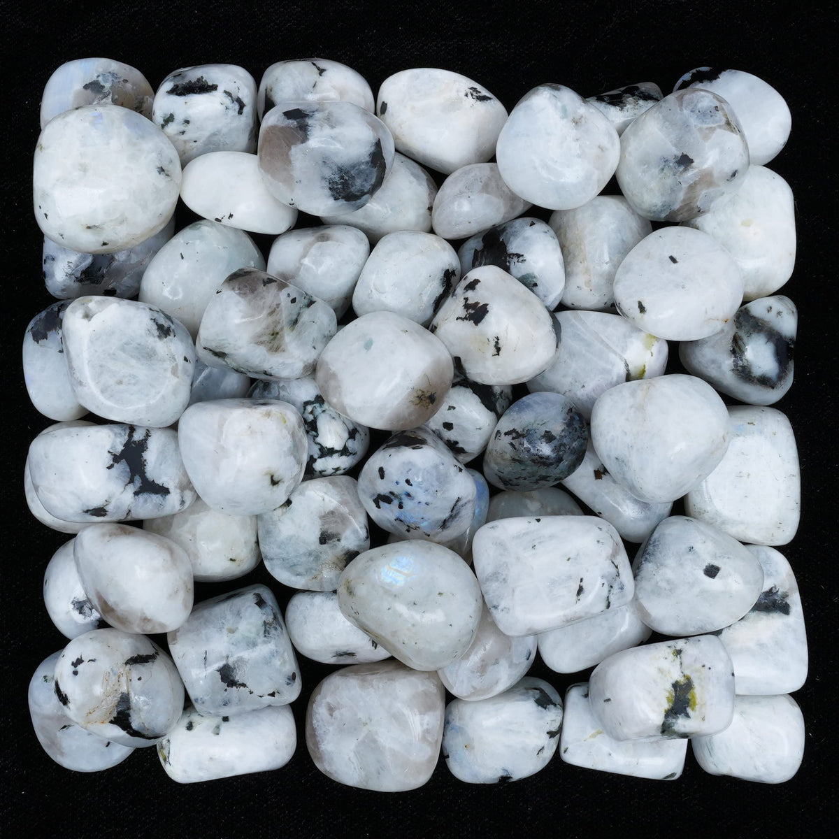 Crocon 1LB Rainbow Moonstone Tumbled Stones and Crystals Bulk 2000+ carats, Polished Stones - Rock Collection - vase Filler tumbles Crystals Healing Reiki - Gemstone Gifts, Fountain tumbles Size 20mm