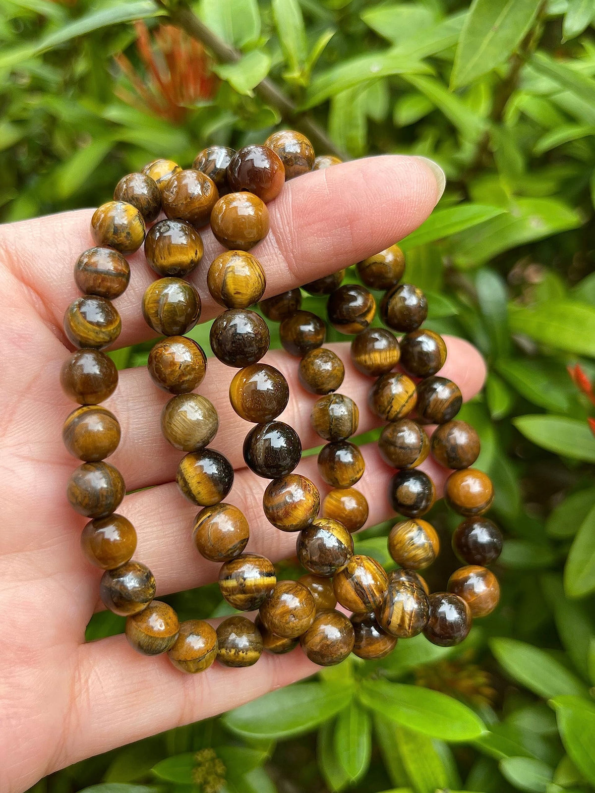 GAF TREASURES Tiger Eye Crystal Bead Bracelet 8mm, Genuine Tiger Eye Stretch Gemstone Bracelet, Healing Crystal Bracelet, Gift for Men & Women (1)
