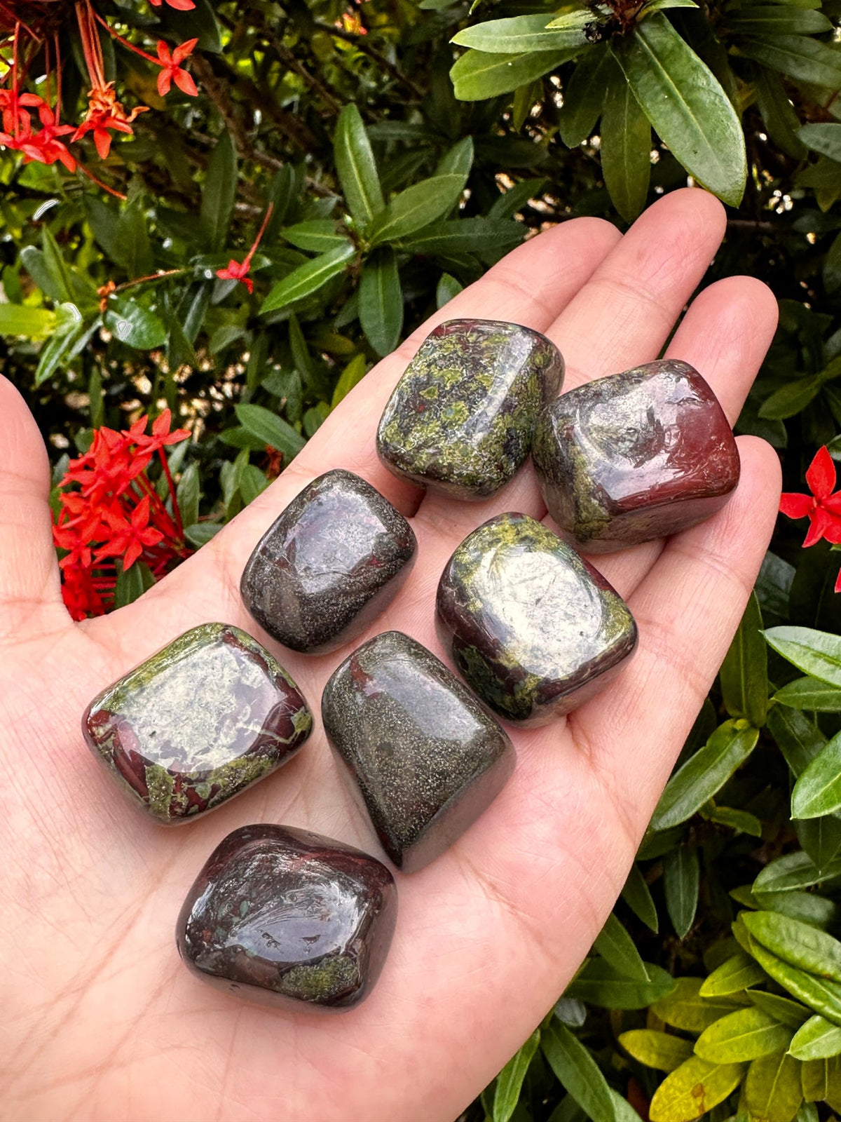 GAF TREASURES 5 Pcs Black Tourmaline Tumbled Stones, Polished Natural Black Tourmaline Gemstone, Black Tourmaline Healing Crystals