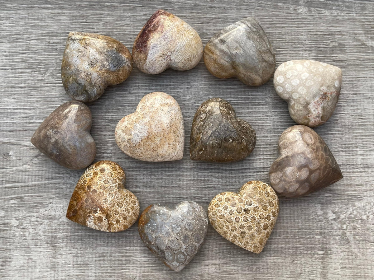 GAF TREASURES Fossil Coral Gemstone Hearts, Polished Fossil Coral Puffy Hearts, Fossil Coral Crystal Palm Stone, Fossil Coral Healing Crystal Hearts (1 Heart)