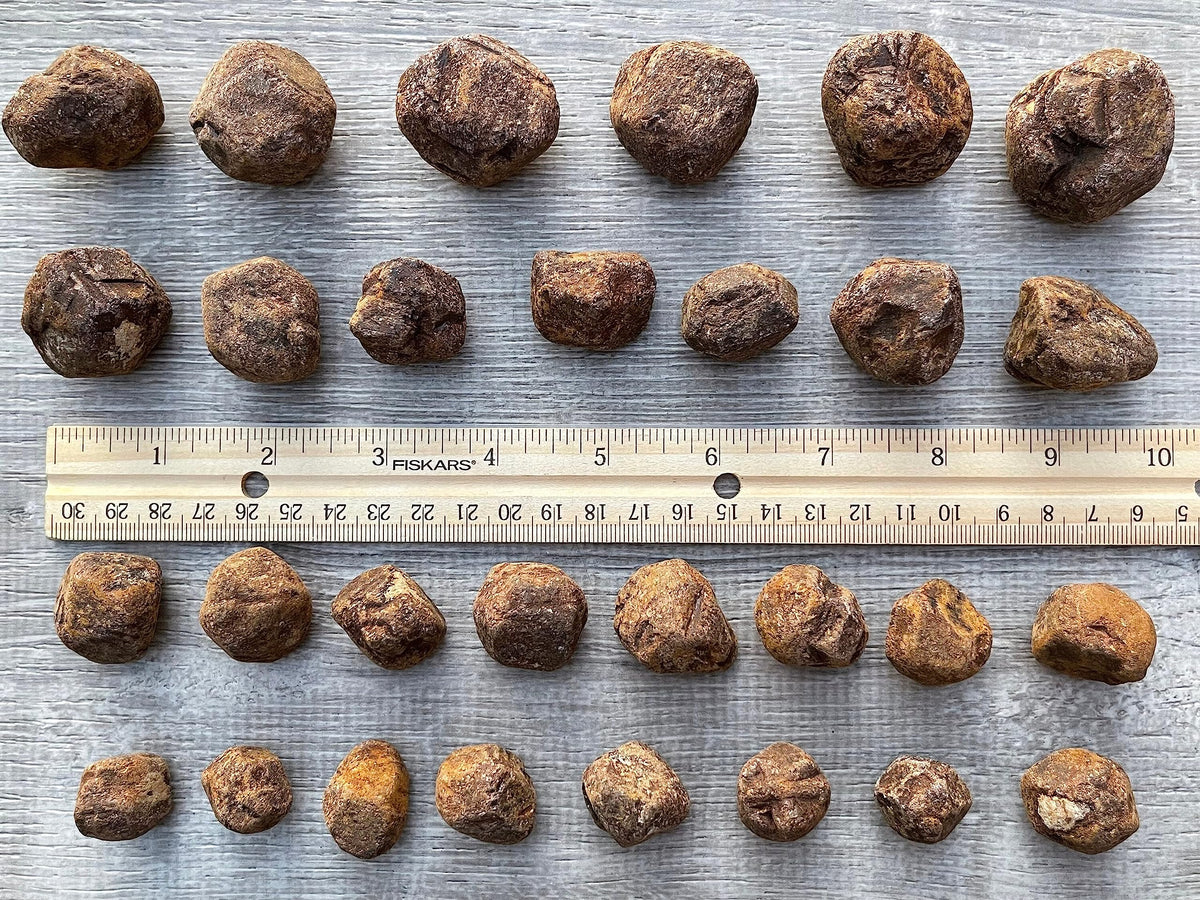 GAF TREASURES Wholesale Raw Garnet Crystals, Natural Garnet Stone, Natural Rough Garnet Crystals, Garnet Rough, Garnet Healing Crystals (Garnet, 0.25 Pound)