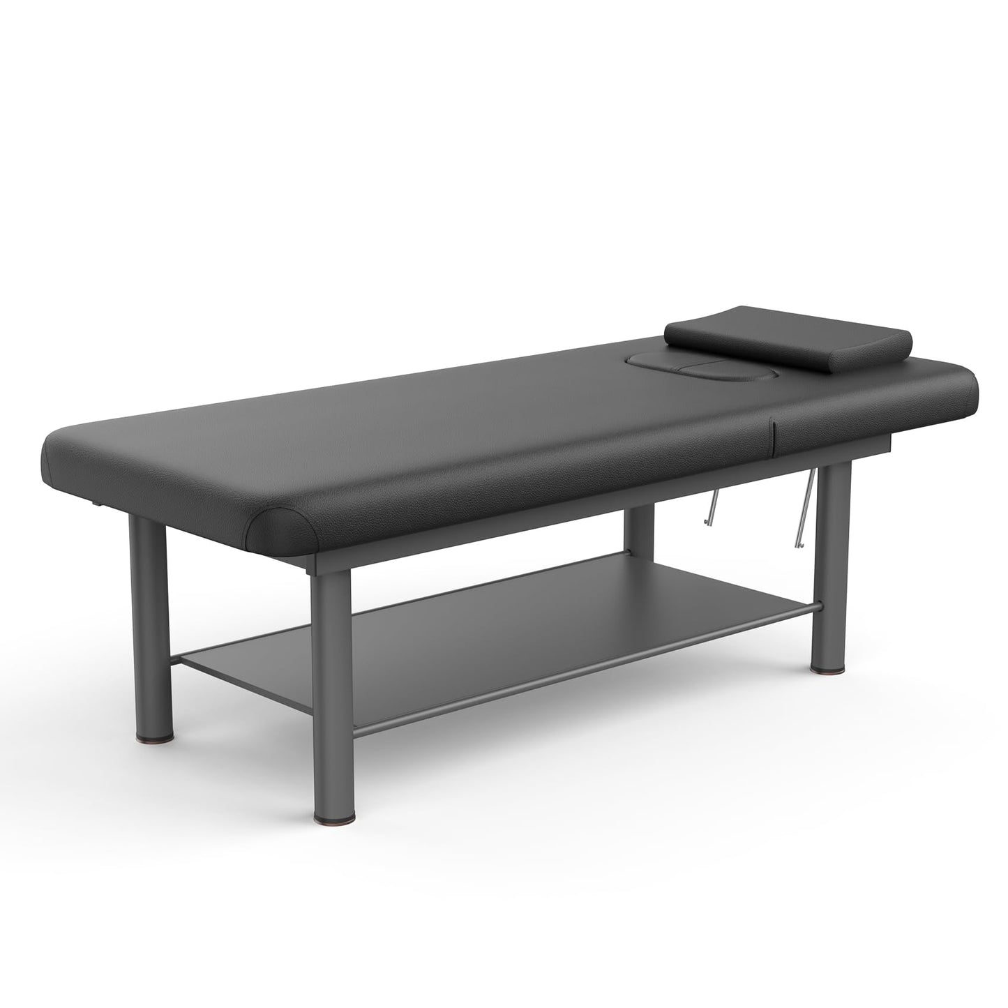 Dolonm Heavy Duty Professional Stationary Massage Bed with Backrest for Treatment Table Physical Therapy Table Spa Facial Bed, 31.5in Wide Table, Metal Frame PU Leather, Black Integral Structure