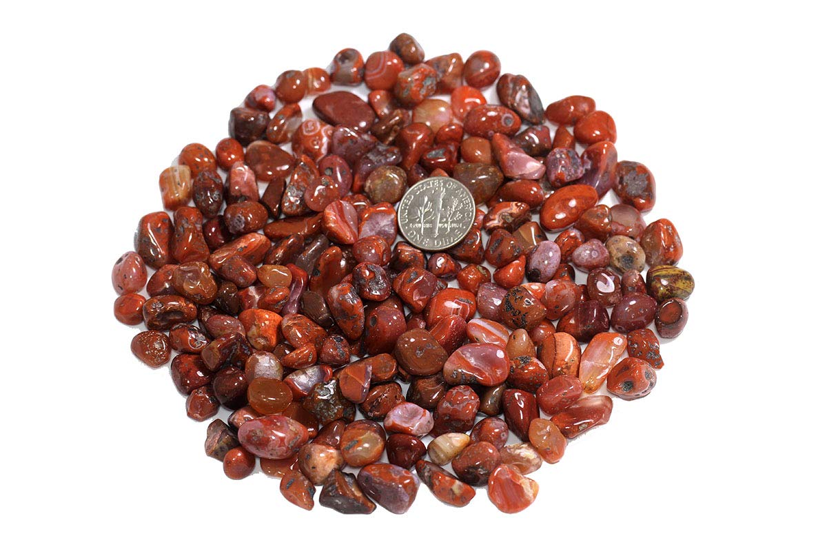 ZenQ 1 lb Red Agate Tumbled Stone Chips Crushed Natural Crystal Quartz Pieces