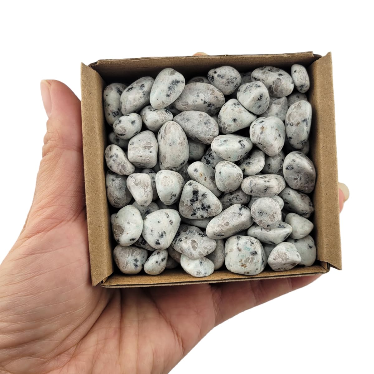 1,000 Carats Handpicked Tumbled Stones Crystals Chips Bulk Pocket Stones for Healing, Reiki, Meditation, Witchcraft and Home Decorations (Kiwi Jasper)
