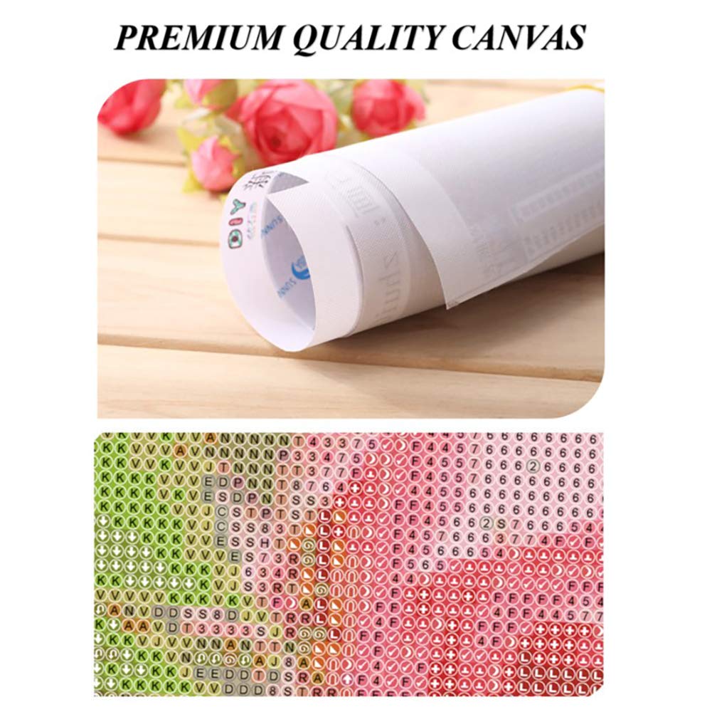 SUKIMI 5D DIY Diamond Art Painting Kits for Adults 16X20 inches Full Round Drill Rhinestone Embroidery for Wall Decoration