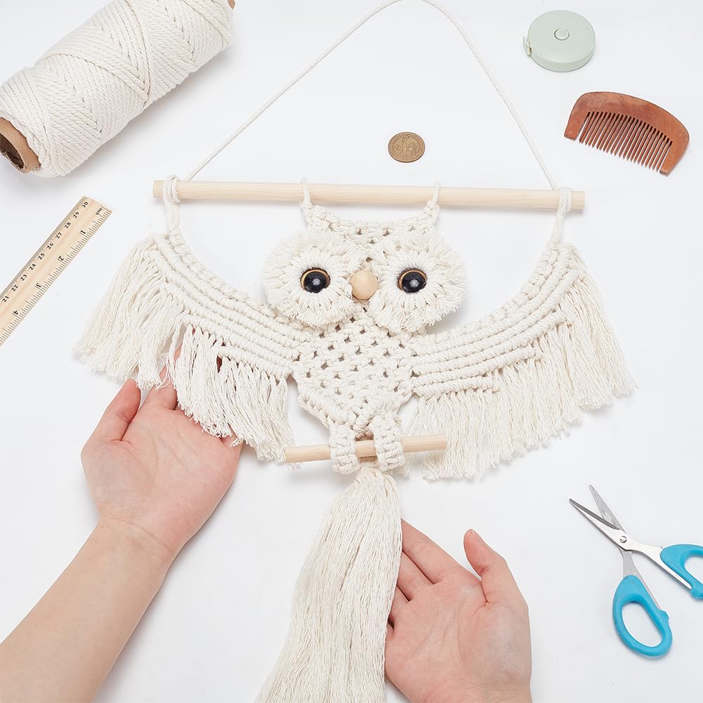 ACRNIGHEET DIY Owl Macrame Kit with Instruction - Handmade White Owl Hanging Ornament Boho Hand Woven Macrame Making Kit for Home Decor