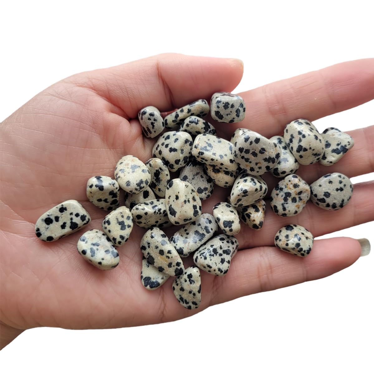 1,000 Carats Dalmation Jasper Handpicked Tumbled Stones Crystals Chips 0.2''-0.5'' Bulk Pocket Stones for Healing, Reiki, Meditation, Witchcraft and Home Decorations (Dalmation Jasper)