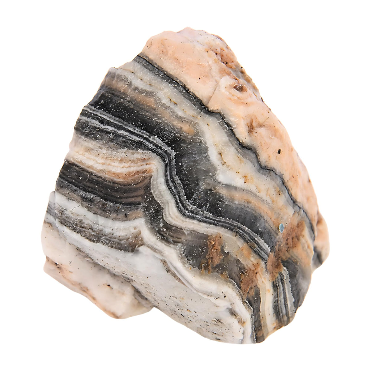 ANAYA AGATE Zebra Calcite 2 Pcs Raw Crystals Rough Gemstones w/Authenticity Card, Velvet Pouch - Large 1.25–2.0" Raw Stones for Tumbling, Cabbing, Polishing, Cutting Natural Healing Crystals for Home Decor, DIY Stones