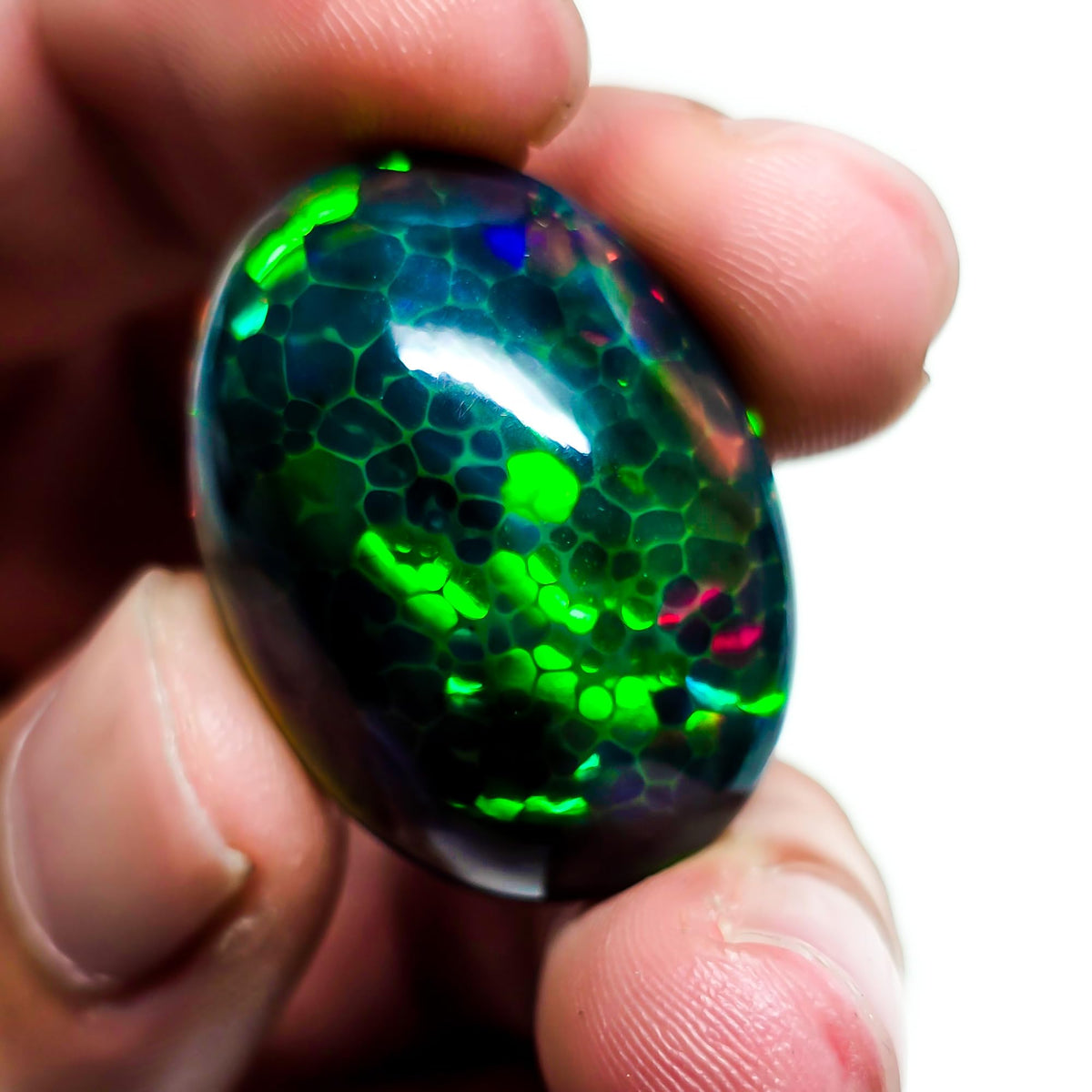 24 Carat Honeycomb Black Ethiopian Opal Cabochon Gemstone