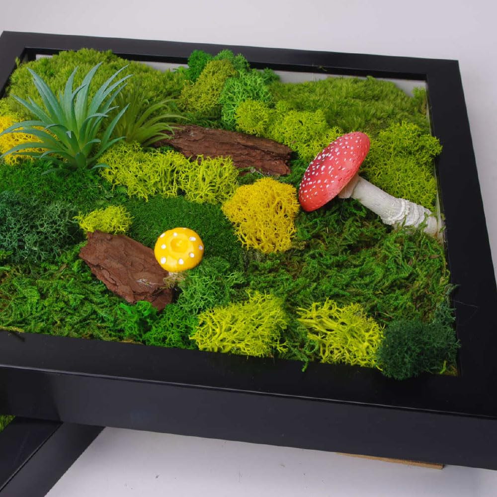 ACADOIT Moss ArtsFrame Crafts for Adults, 11" Home Office Decor Living Wall Hanging Decor