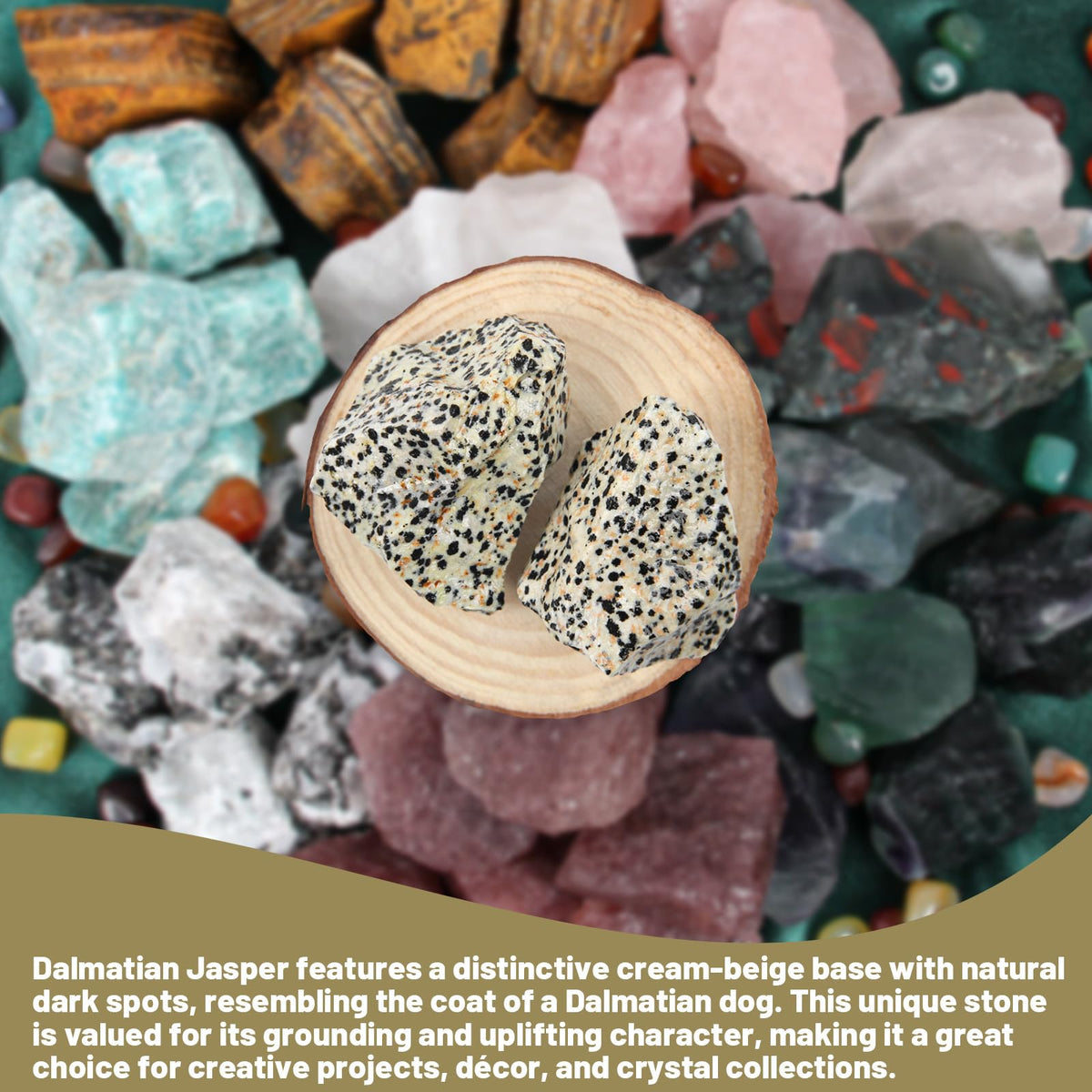 1.1lb Bulk Raw Dalmatian Jasper Rough Crystal-Natural Dalmatian Jasper Raw Stones Crystal for Tumbling, Cabbing, Fountain Rocks, Decoration, Polishing, Wire Wrapping, Wicca & Reiki Crystal Healing