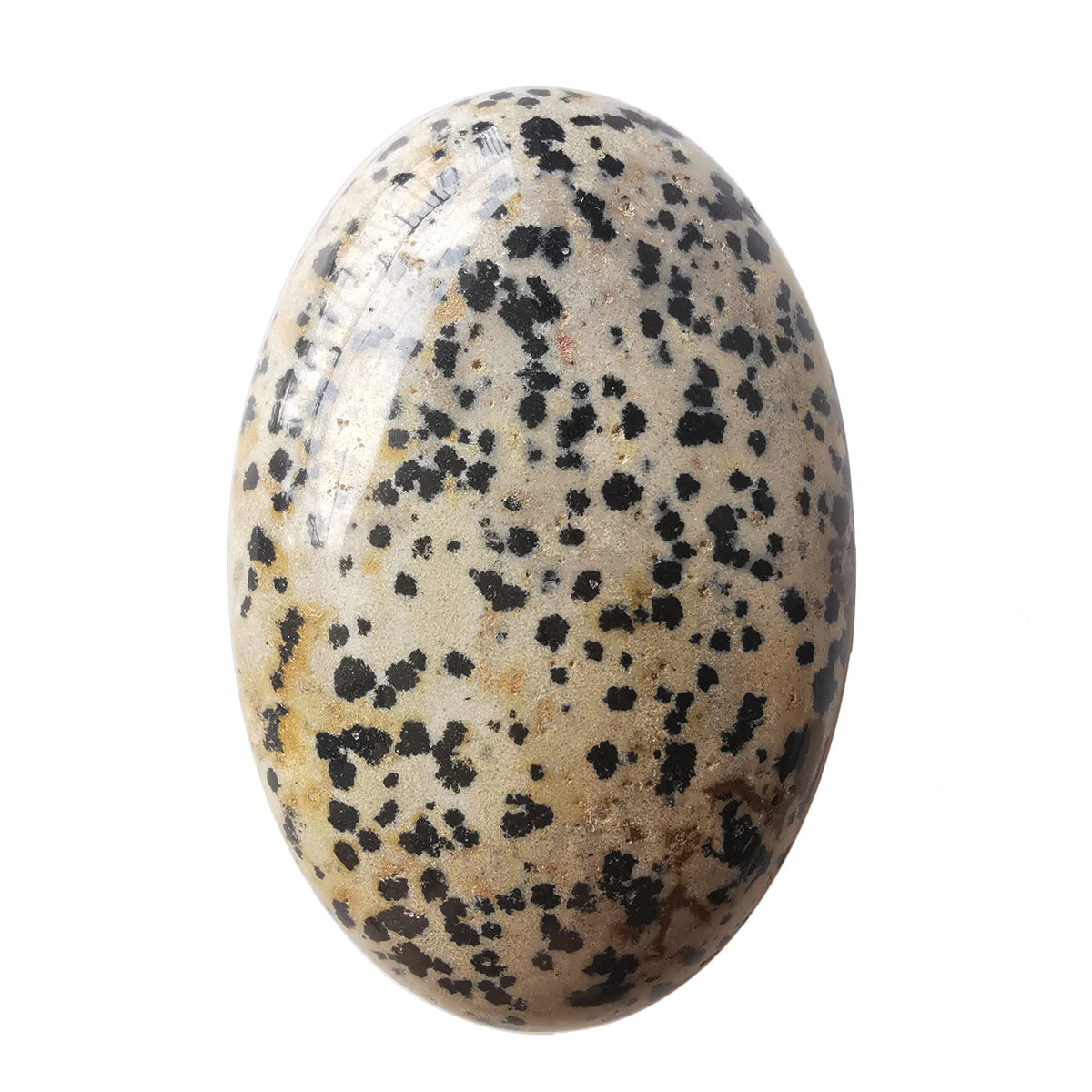 Loveliome Natural Dalmation Jasper Oval Polished Worry Stones, Healing Crystal Indoor Fountain Stones Massage Energy Anxiety Relief Items