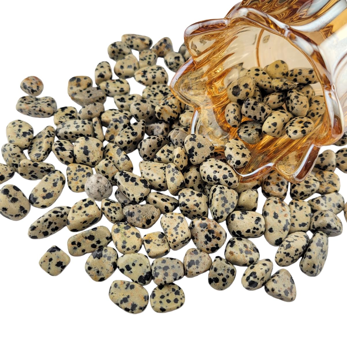 1,000 Carats Dalmation Jasper Handpicked Tumbled Stones Crystals Chips 0.2''-0.5'' Bulk Pocket Stones for Healing, Reiki, Meditation, Witchcraft and Home Decorations (Dalmation Jasper)