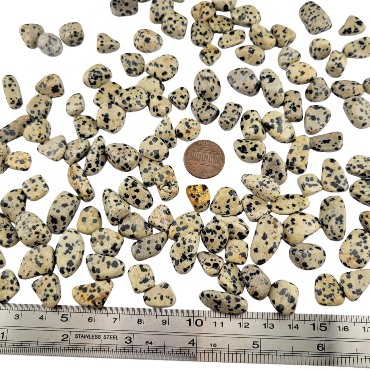 1,000 Carats Dalmation Jasper Handpicked Tumbled Stones Crystals Chips 0.2''-0.5'' Bulk Pocket Stones for Healing, Reiki, Meditation, Witchcraft and Home Decorations (Dalmation Jasper)