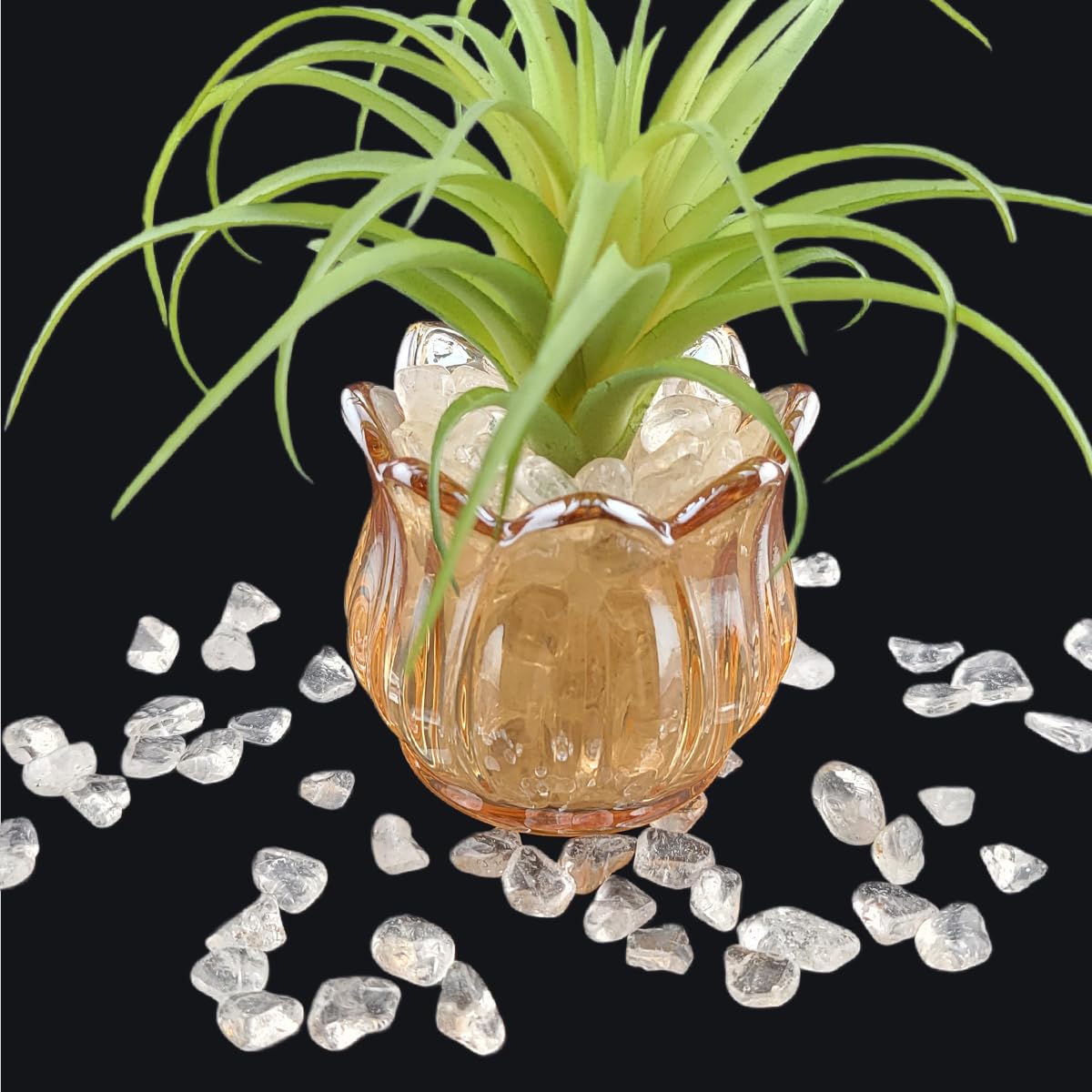 1,000 Carats Clear Quartz Handpicked Tumbled Stones Crystals Chips 0.2''-0.5'' Bulk Pocket Stones for Healing, Reiki, Meditation, Witchcraft and Home Decorations (Clear Quartz)
