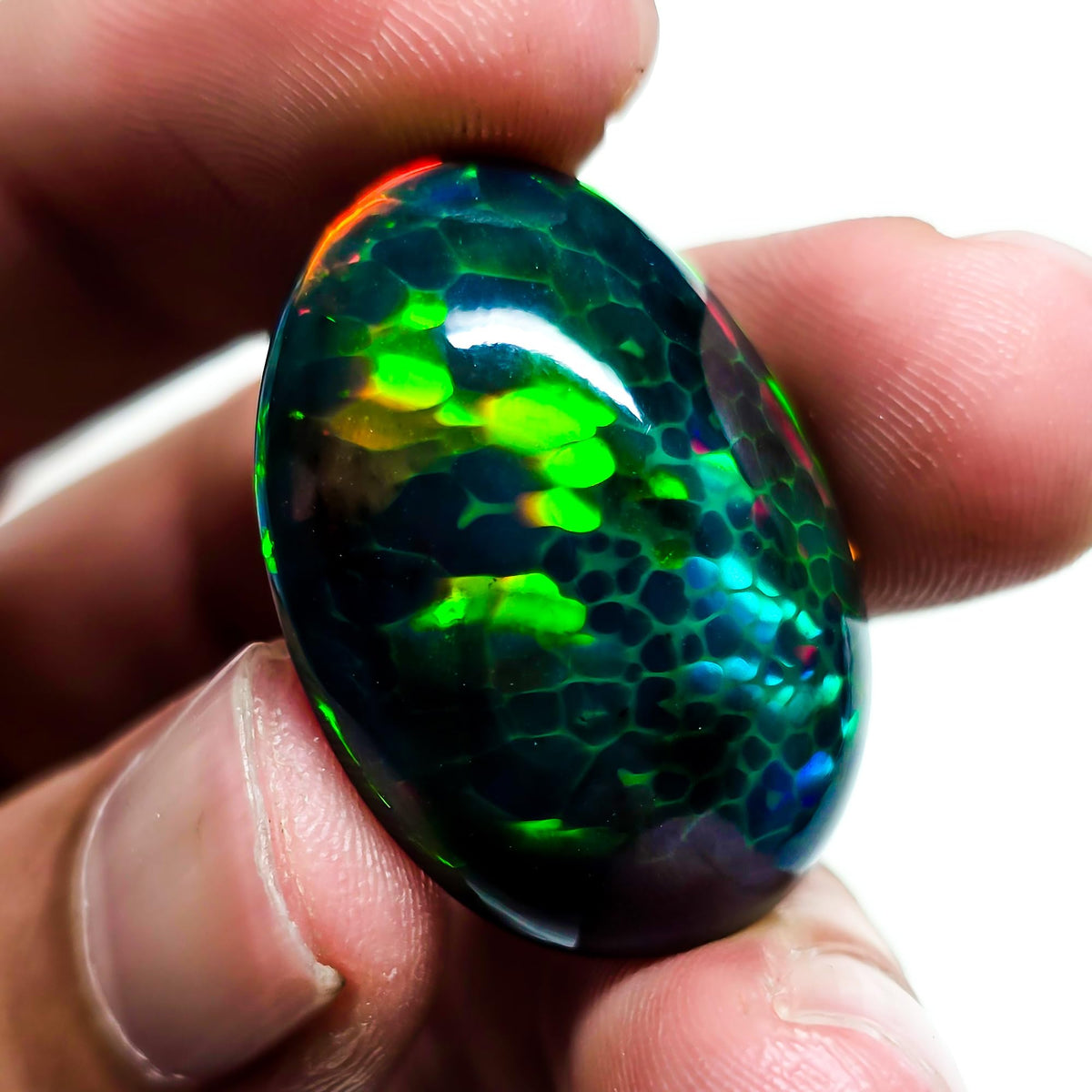 24 Carat Honeycomb Black Ethiopian Opal Cabochon Gemstone
