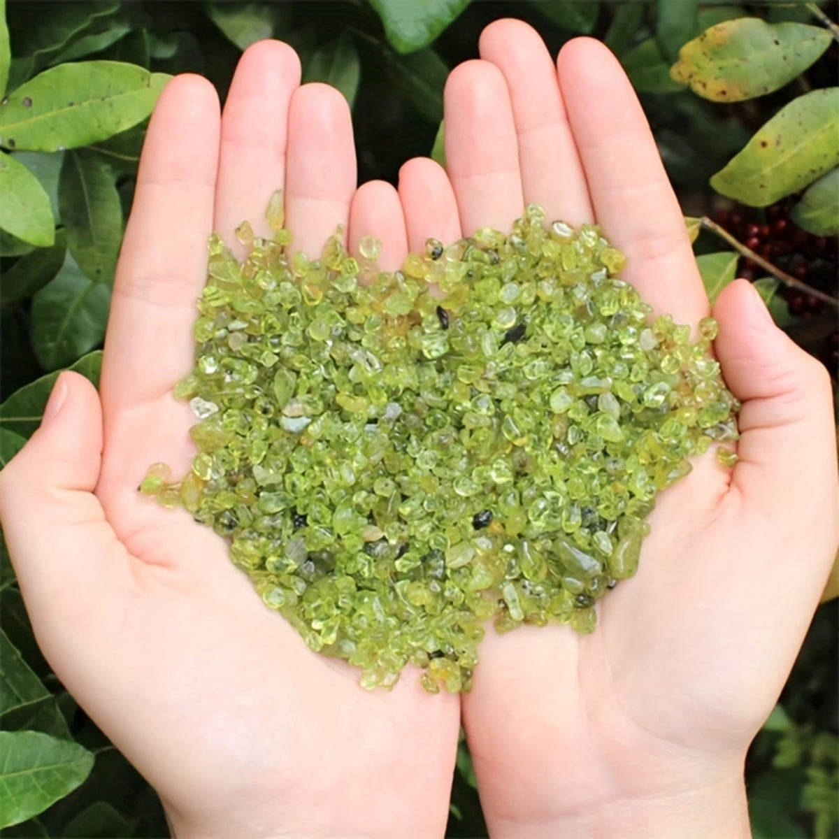 YOUNAIERZX 1LB Natural Peridot Crystal Chips Bulk Crushed Stones for DIY Crafts Healing Crystals Small Crystals Peridot Stone