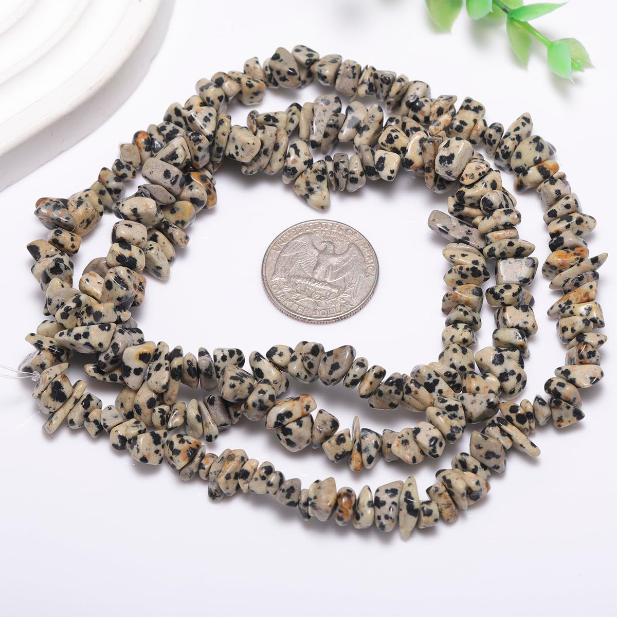 200pcs Natural Irregular Chip Stone Beads 5-8mm Pre-Drilled 30-inch Strand Semi-Precious Healing Crystal Beads for DIY Jewelry Making Bracelet Chakra Crafts Dalmation Jasper