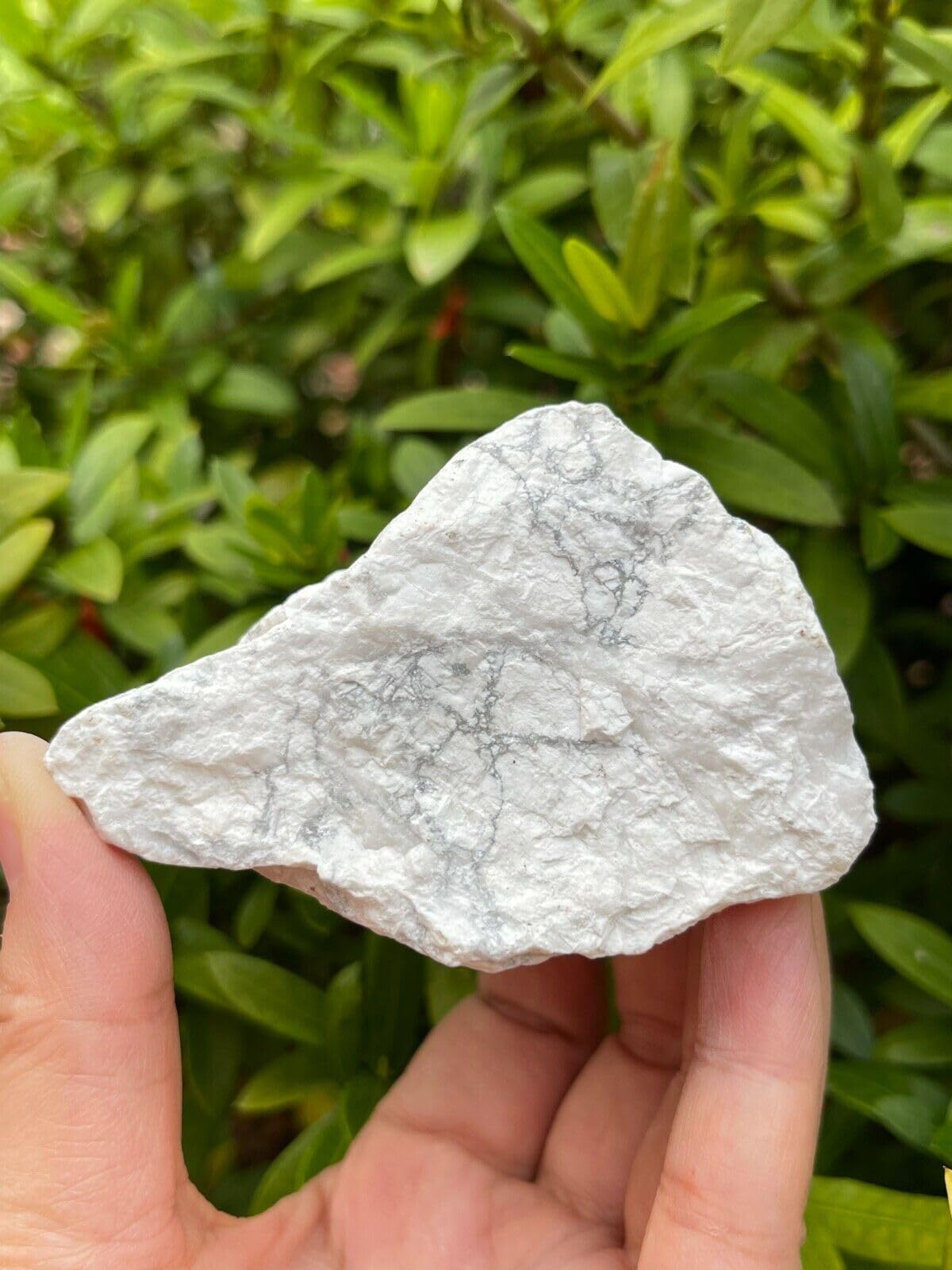 GAF TREASURES XL Raw White Howlite, 3-4" Natural White Howlite Stone, White Howlite Rough, White Howlite Healing Rough Crystal (White Howlite, 0.5-1 lb)