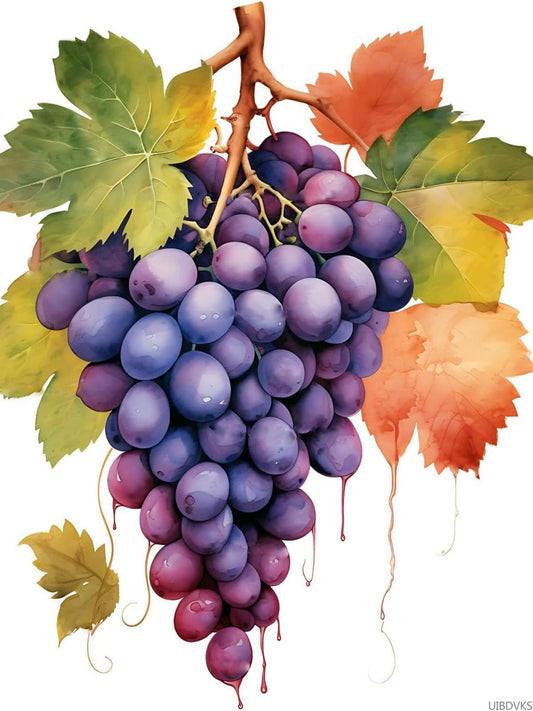 UIBDVKS 5D Fruit Grape Diamond Painting Kits Watercolor Grapes Art for Adults, DIY Full Drill Crystal Arts and Crafts, for Home Wall Decor Gifts 12x16 inch