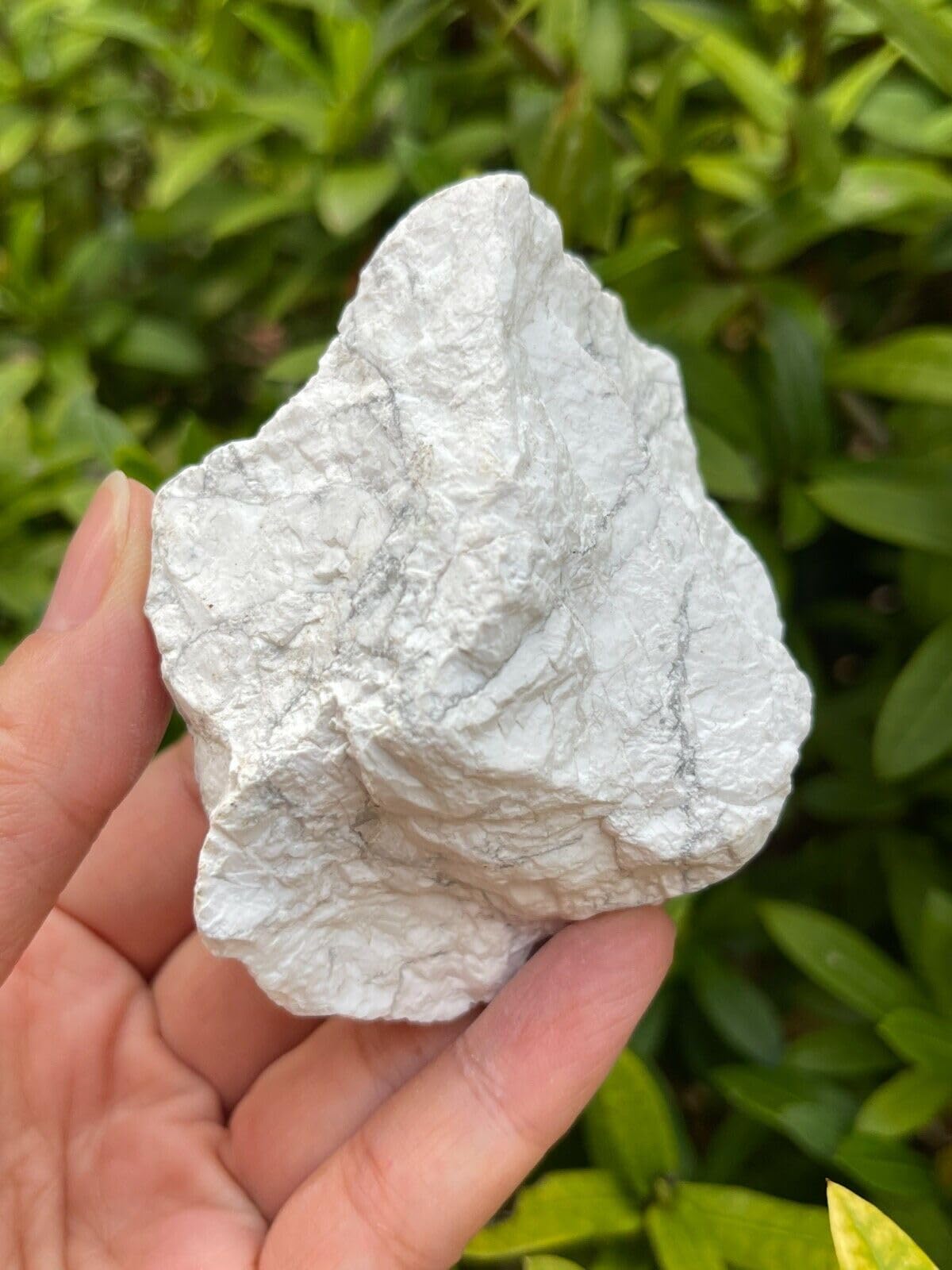 GAF TREASURES XL Raw White Howlite, 3-4" Natural White Howlite Stone, White Howlite Rough, White Howlite Healing Rough Crystal (White Howlite, 0.5-1 lb)