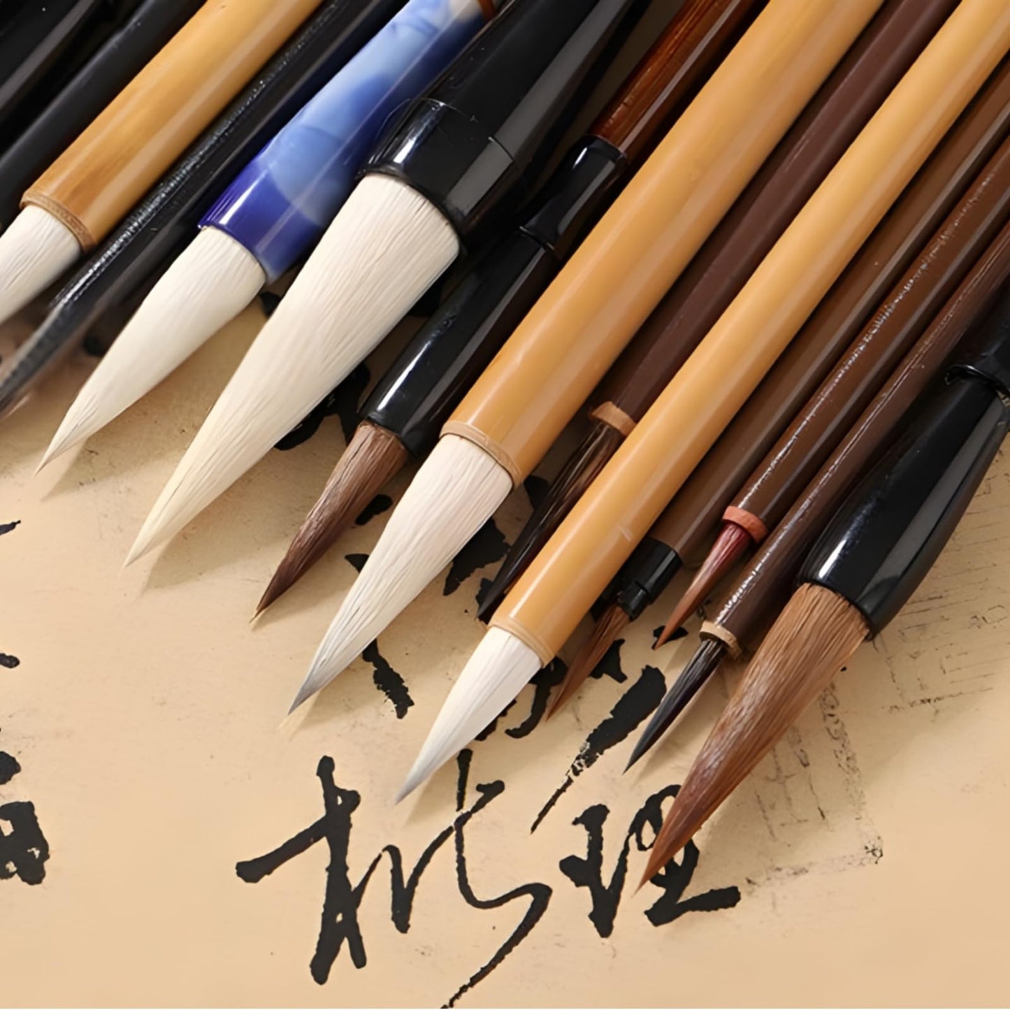Eorbow 16 Pieces Chinese Calligraphy Brush Set, Sumi Brushes with Roll-up Bamboo Holder, Sturdy Japanese Watercolor Painting Writing Brushes, Kanji Art Drawing Brushes for Beginners