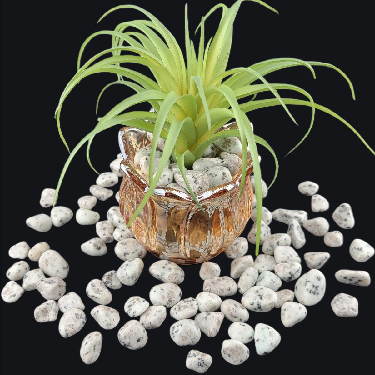 1,000 Carats Handpicked Tumbled Stones Crystals Chips Bulk Pocket Stones for Healing, Reiki, Meditation, Witchcraft and Home Decorations (Kiwi Jasper)