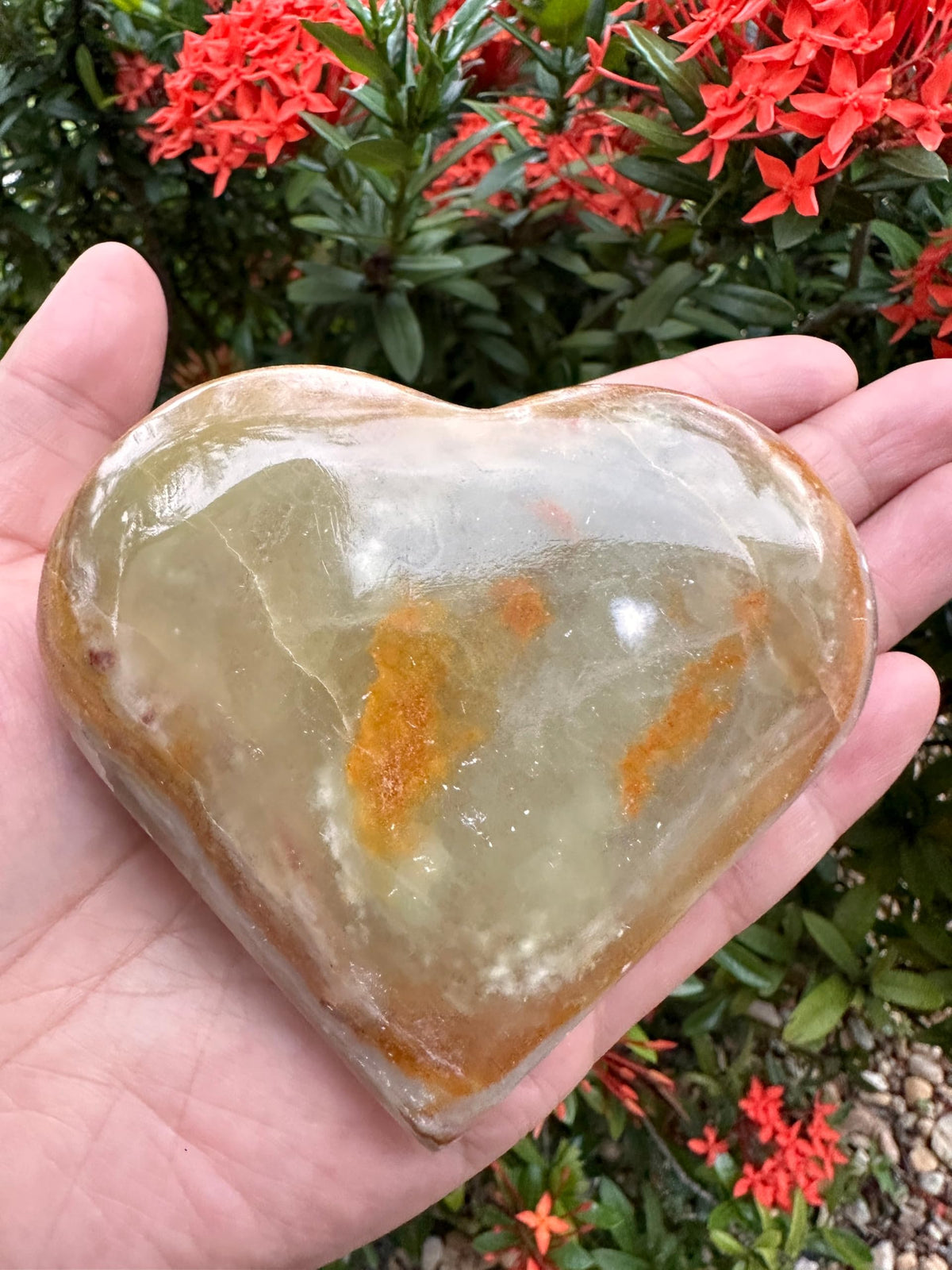 GAF TREASURES Jumbo Green Onyx Gemstone Hearts, Polished Green Onyx Puffy Hearts, Green Onyx Crystal Palm Stone, Green Onyx Healing Crystal Hearts (1 Heart)