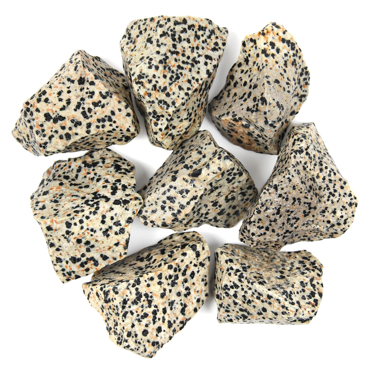 1.1lb Bulk Raw Dalmatian Jasper Rough Crystal-Natural Dalmatian Jasper Raw Stones Crystal for Tumbling, Cabbing, Fountain Rocks, Decoration, Polishing, Wire Wrapping, Wicca & Reiki Crystal Healing