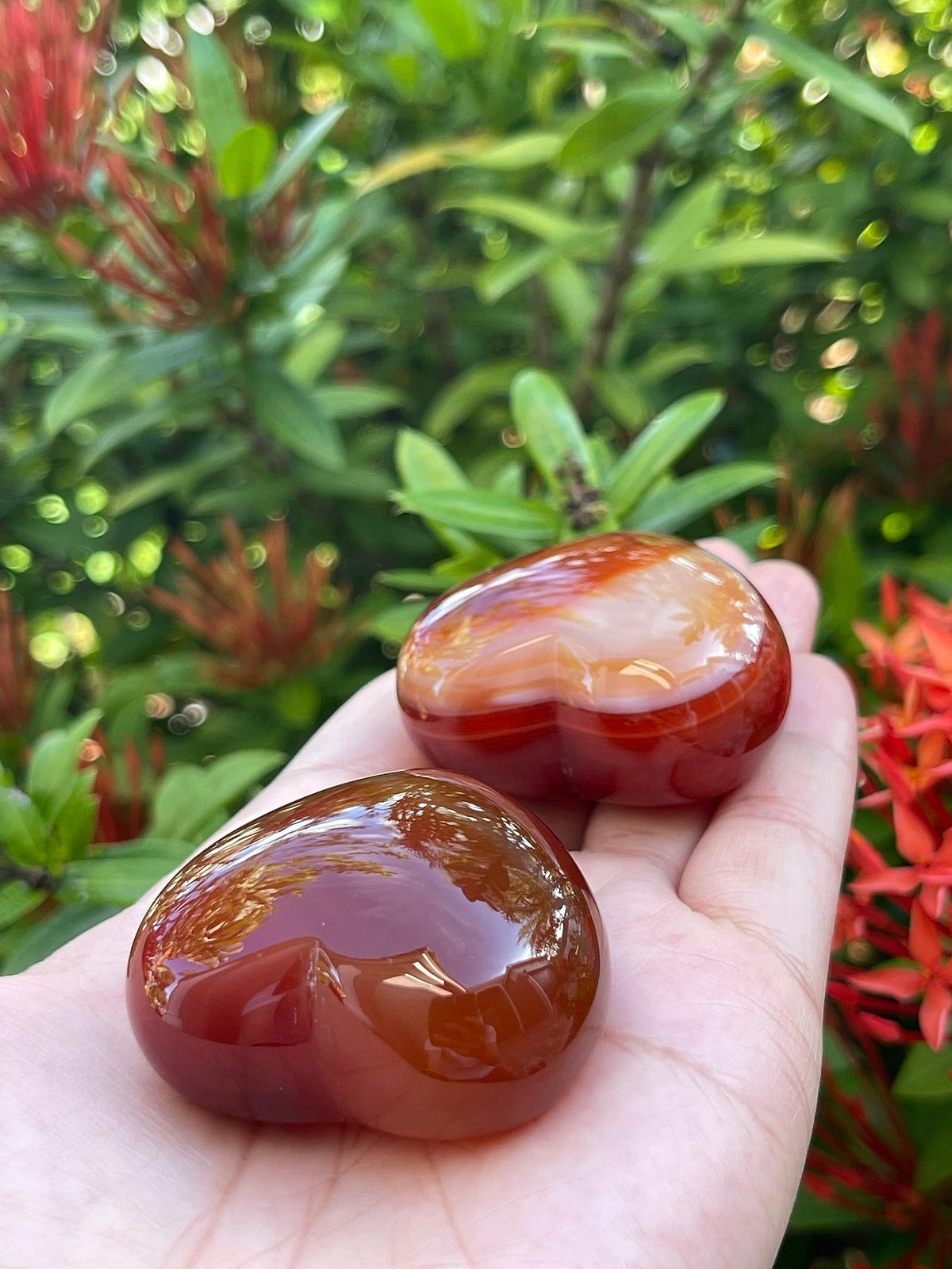 Carnelian Gemstone Hearts, Polished Carnelian Puffy Hearts, Carnelian Crystal Palm Stone, Carnelian Healing Crystal Hearts (1 Heart）