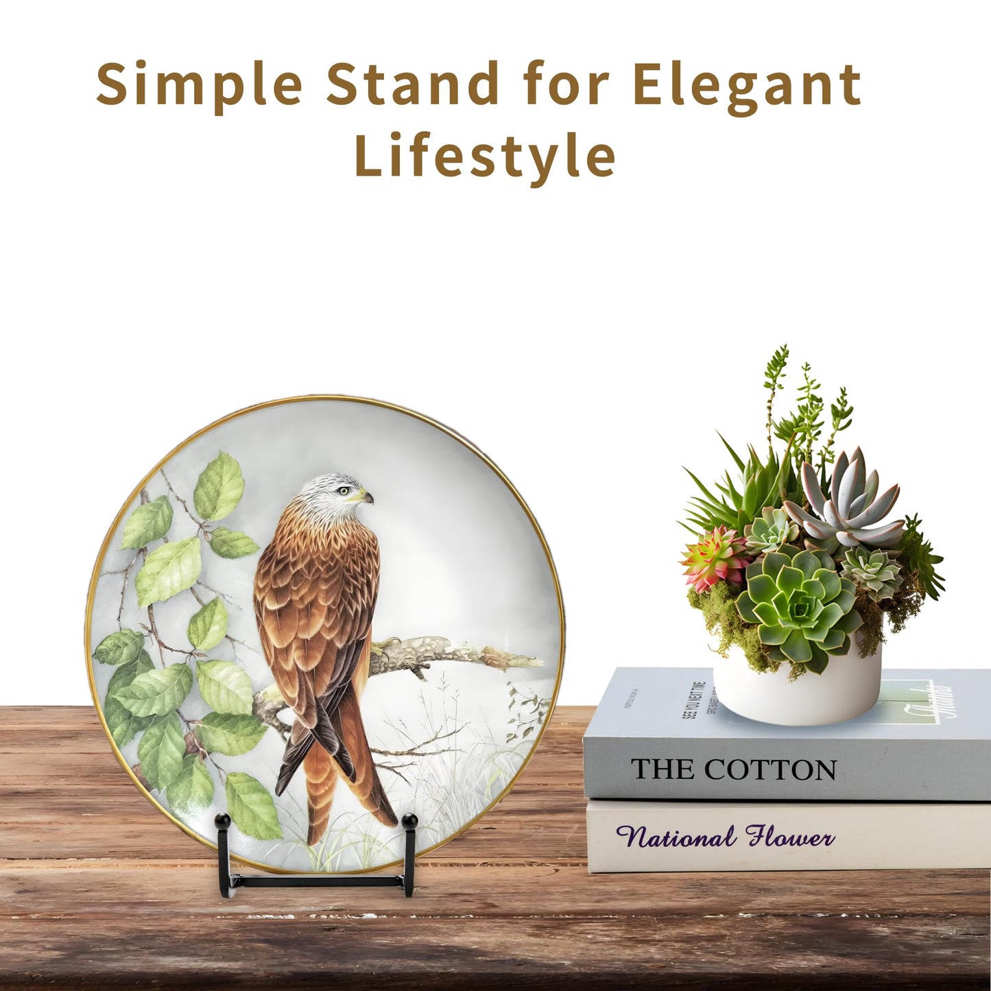 12 Pack 6"Plate Stands for Display,Metal Plate Holders Display Stands Can Be Used for Picture Stands,Book Stands for Display,Plate Display Stands,Easel,Photo Frame Stands,Plaque Stands,Desktop Stand.