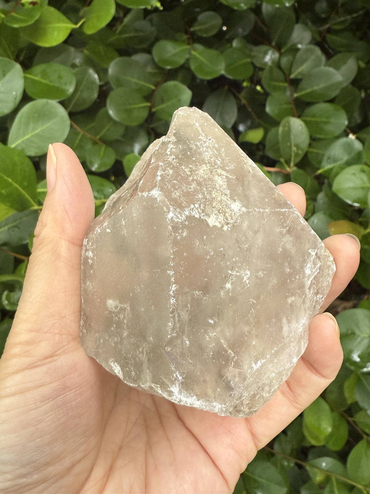 GAF TREASURES XL Raw Clear Quartz, 3-4" Natural Rough Clear Quartz, Clear Quartz Rough, Clear Quartz Healing Rough Crystal (Clear Quartz, 0.5-1 lb)