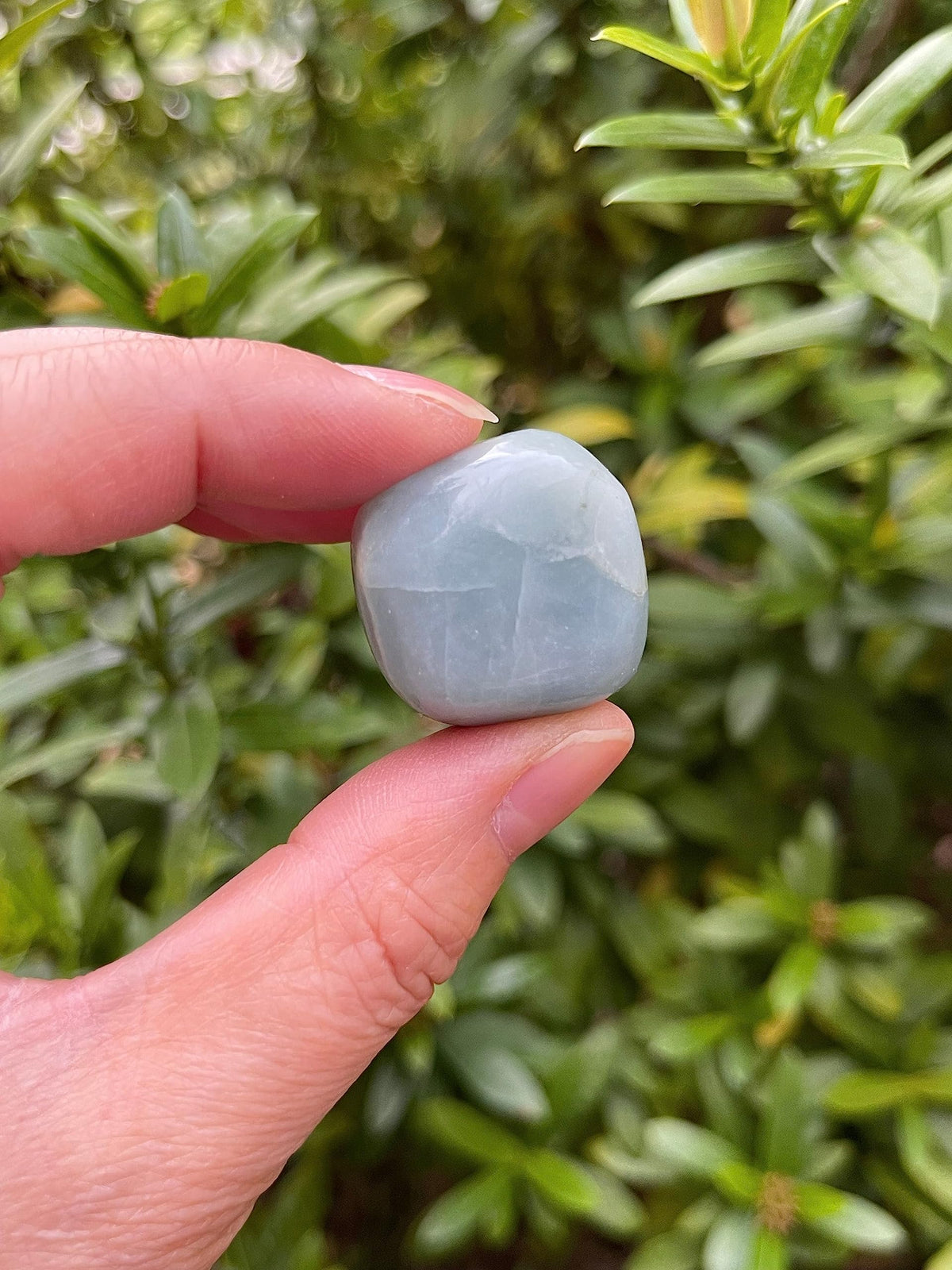 GAF TREASURES 5 Pcs Aquamarine Tumbled Stones, Polished Natural Aquamarine Gemstone, Aquamarine Healing Crystals (Aquamarine)