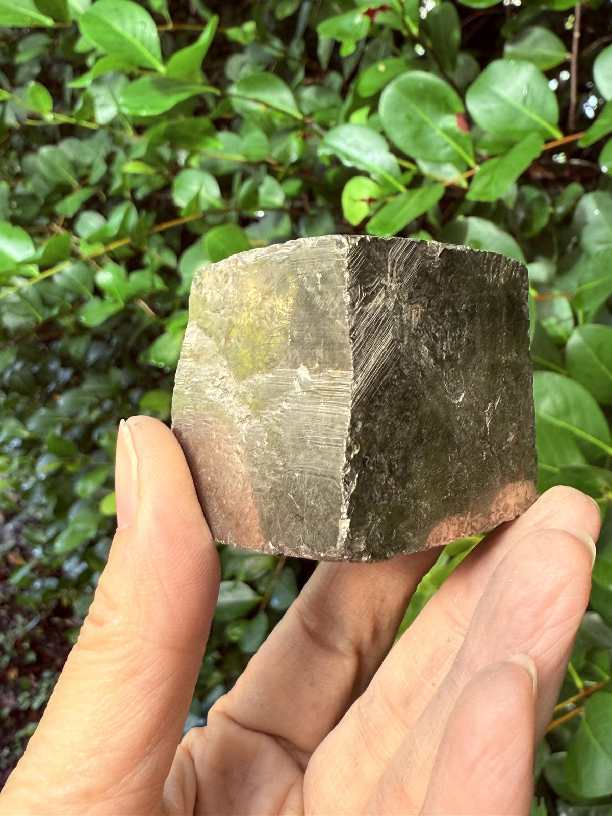 GAF TREASURES XL Raw Pyrite Cube, 3-4" Natural Rough Pyrite Cube, Pyrite Cube Rough, Pyrite Cube Healing Rough Crystal (Pyrite Cube, 0.5-1 lb)