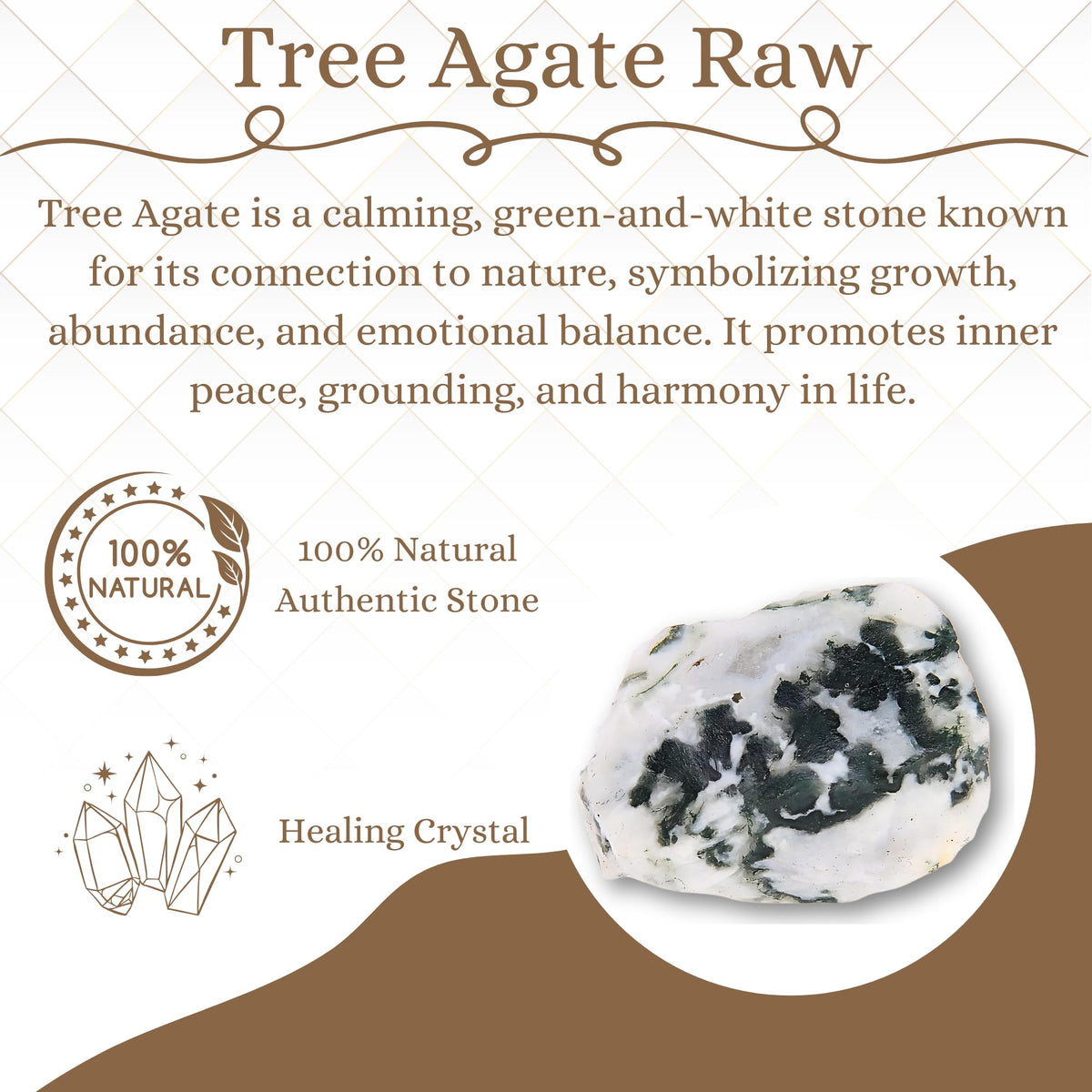 ANAYA AGATE Tree Agate 2 Pcs Raw Crystals Rough Gemstones w/Authenticity Card, Velvet Pouch - Large 1.25–2.0" Raw Stones for Tumbling, Cabbing, Polishing, Cutting Natural Healing Crystals for Home Decor, DIY Stones