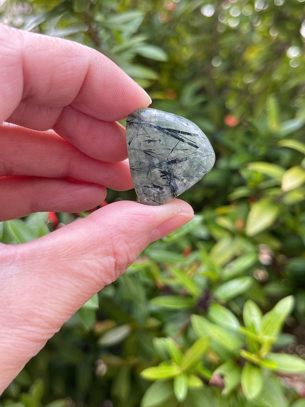 GAF TREASURES 5 Pcs Prehnite with Rutile Tumbled Stones, Polished Natural Prehnite with Rutile Gemstone, Prehnite with Rutile Healing Crystals (Prehnite with Rutile)