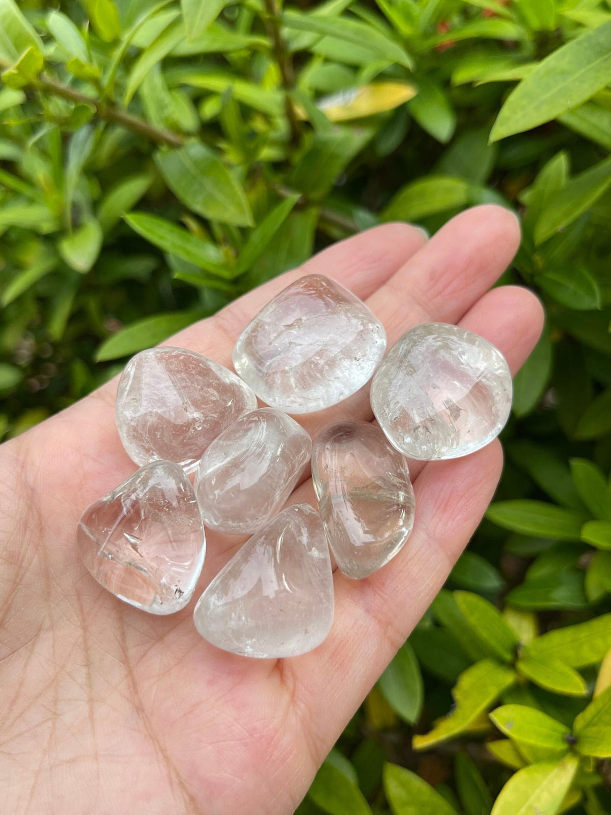 GAF TREASURES 5 Pcs Clear Quartz Tumbled Stones, Polished Natural Clear Quartz Gemstone, Clear Quartz Healing Crystals (Clear Quartz)