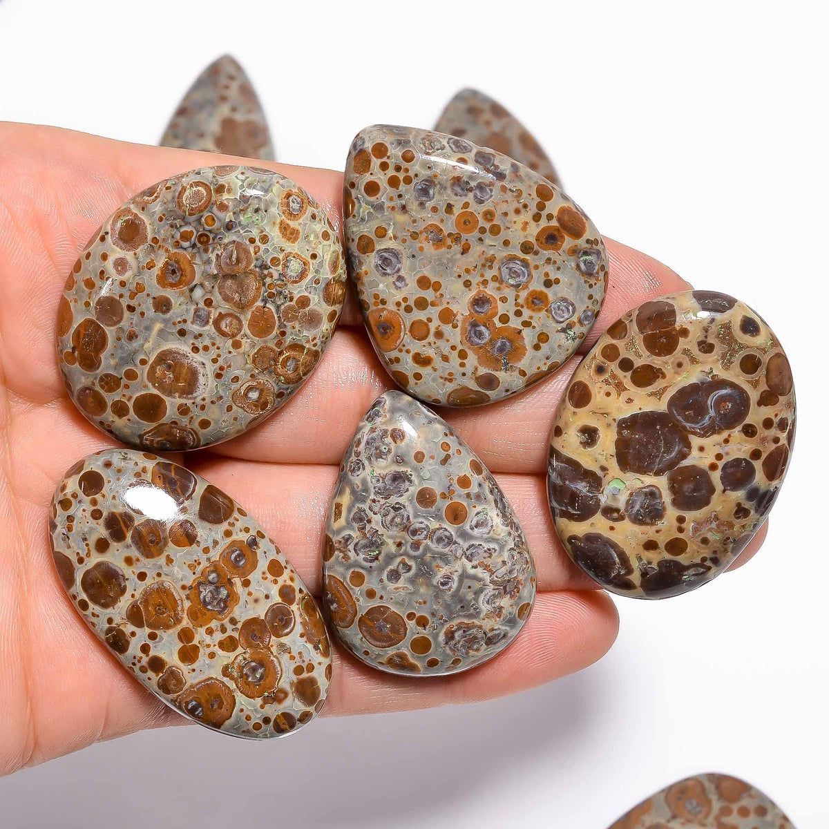 Natural Asteroid Jasper Gemstone- Healing Crystals for DIY Jewelry Making -Loose Natural Cabochon -Perfect for Crafting Unique Jewelry Designs (5 pcs, 25-35 mm)