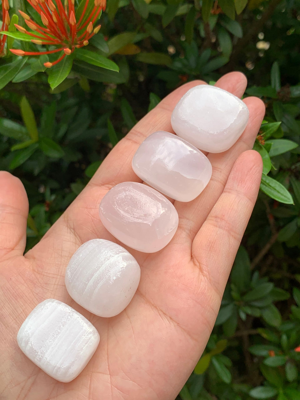 GAF TREASURES 5 Pcs Pink Calcite Tumbled Stones, Polished Natural Pink Calcite Gemstone, Pink Calcite Healing Crystals (Pink Calcite)
