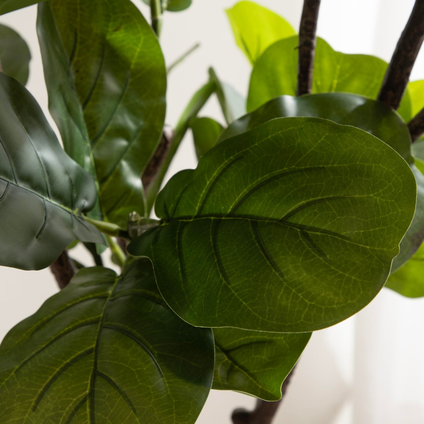 Kate and Laurel Fidmont Faux Fiddle Fig Tree with Claudel Scalloped Planter Pot, 6 FT, Black, Potted Artificial Tree Indoor with Realistic Foliage and Added Moss, Fake Plant for Living Room Decor