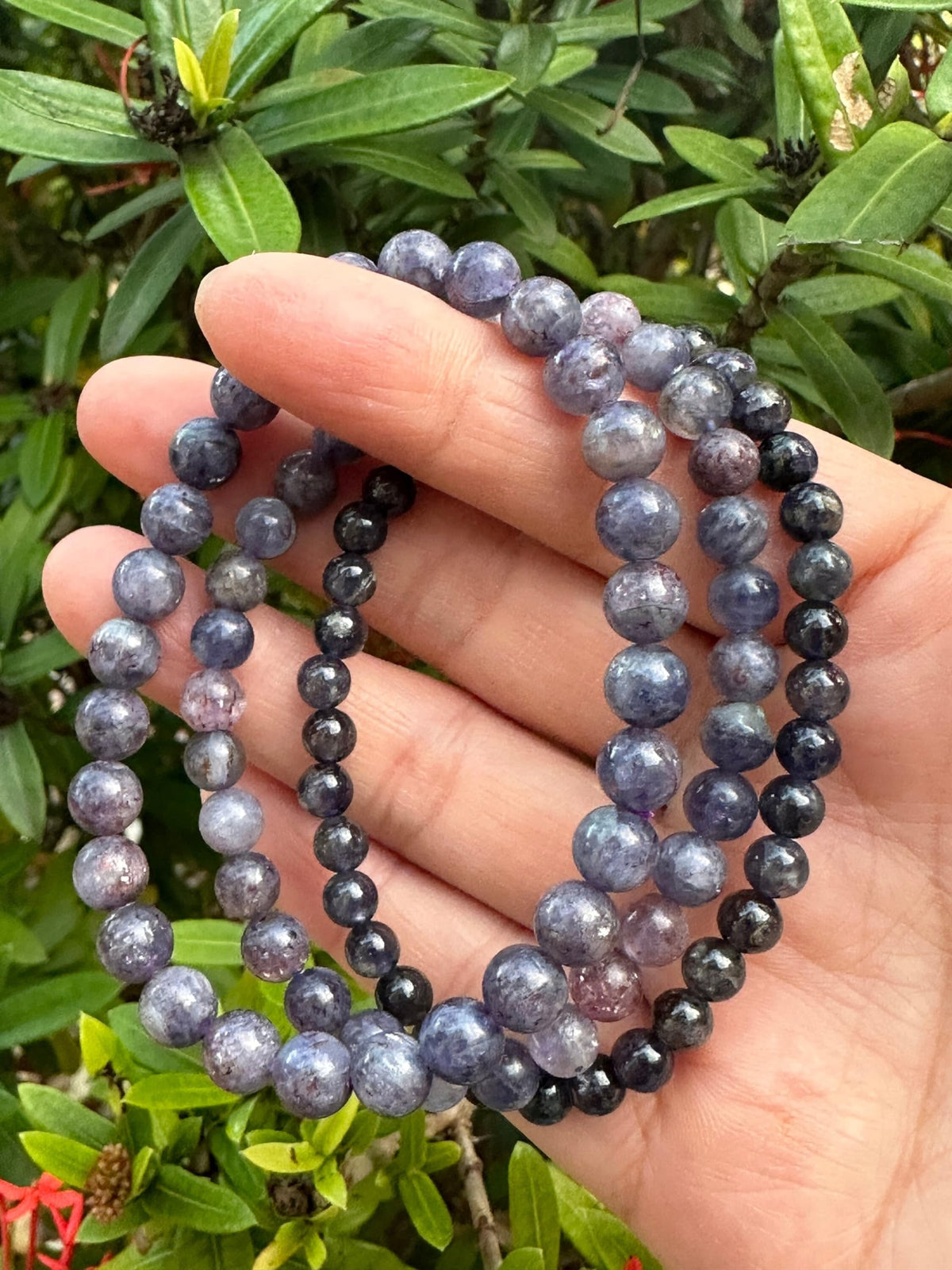 GAF TREASURES Iolite Crystal Bead Bracelet 5-9mm, Genuine Iolite Stretch Gemstone Bracelet, Healing Crystal Bracelet, Gift for Men & Women (1)