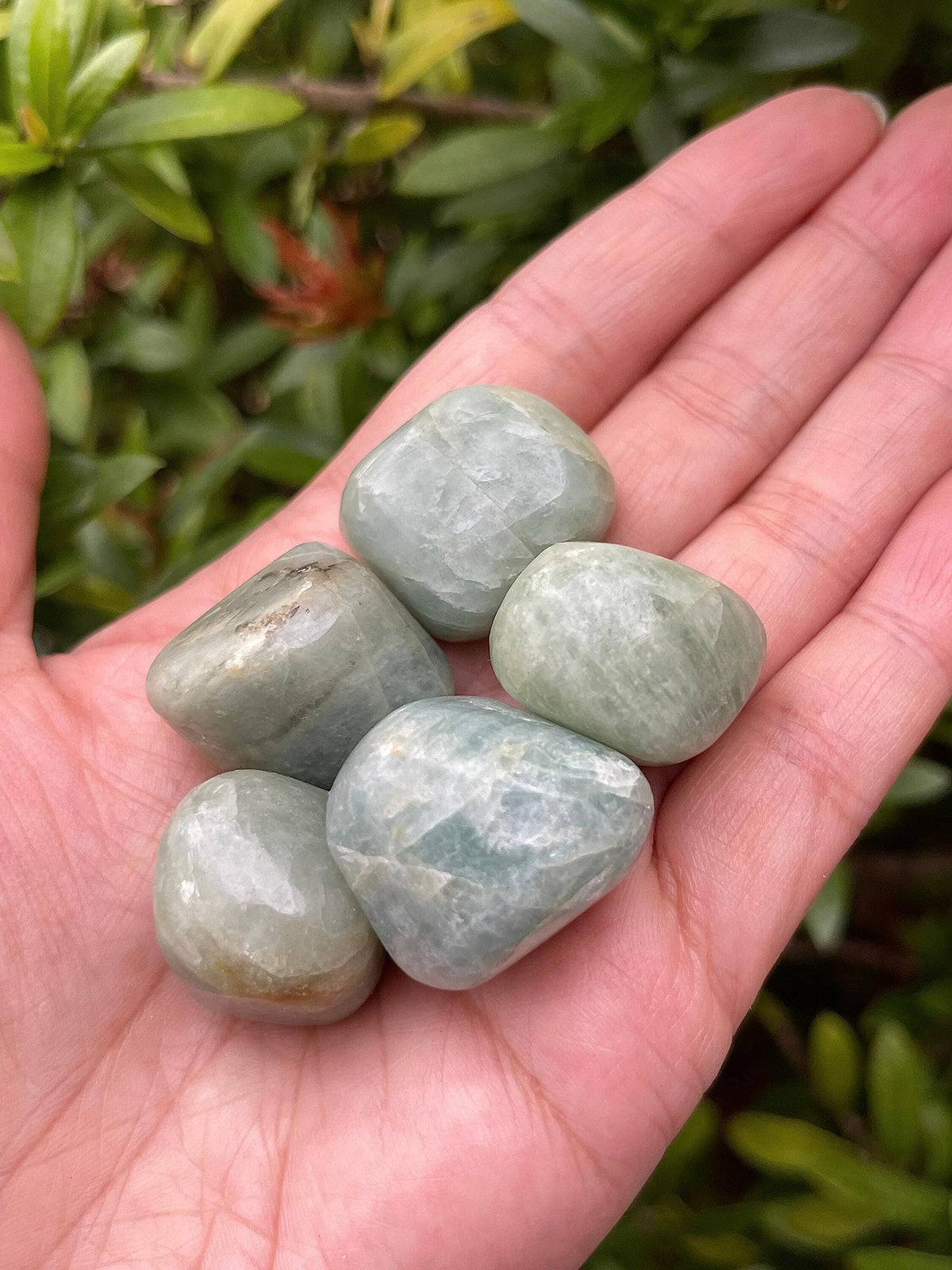 GAF TREASURES 5 Pcs Aquamarine Tumbled Stones, Polished Natural Aquamarine Gemstone, Aquamarine Healing Crystals (Aquamarine)