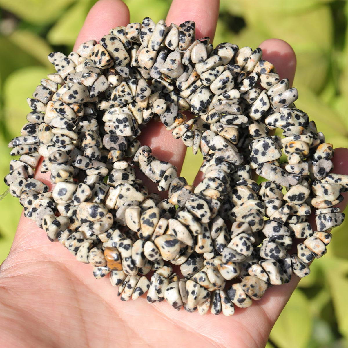 200pcs Natural Irregular Chip Stone Beads 5-8mm Pre-Drilled 30-inch Strand Semi-Precious Healing Crystal Beads for DIY Jewelry Making Bracelet Chakra Crafts Dalmation Jasper