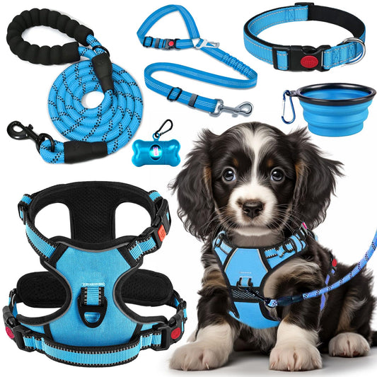 LOBEVE No Pull Dog Harness, Collar & Leash Set | Includes Dog Seat Belt, Collapsible Bowls & Poop Bag Dispenser. Ideal for Training, Walking, Hiking. Fits Small to Large Dogs(Blue-S)