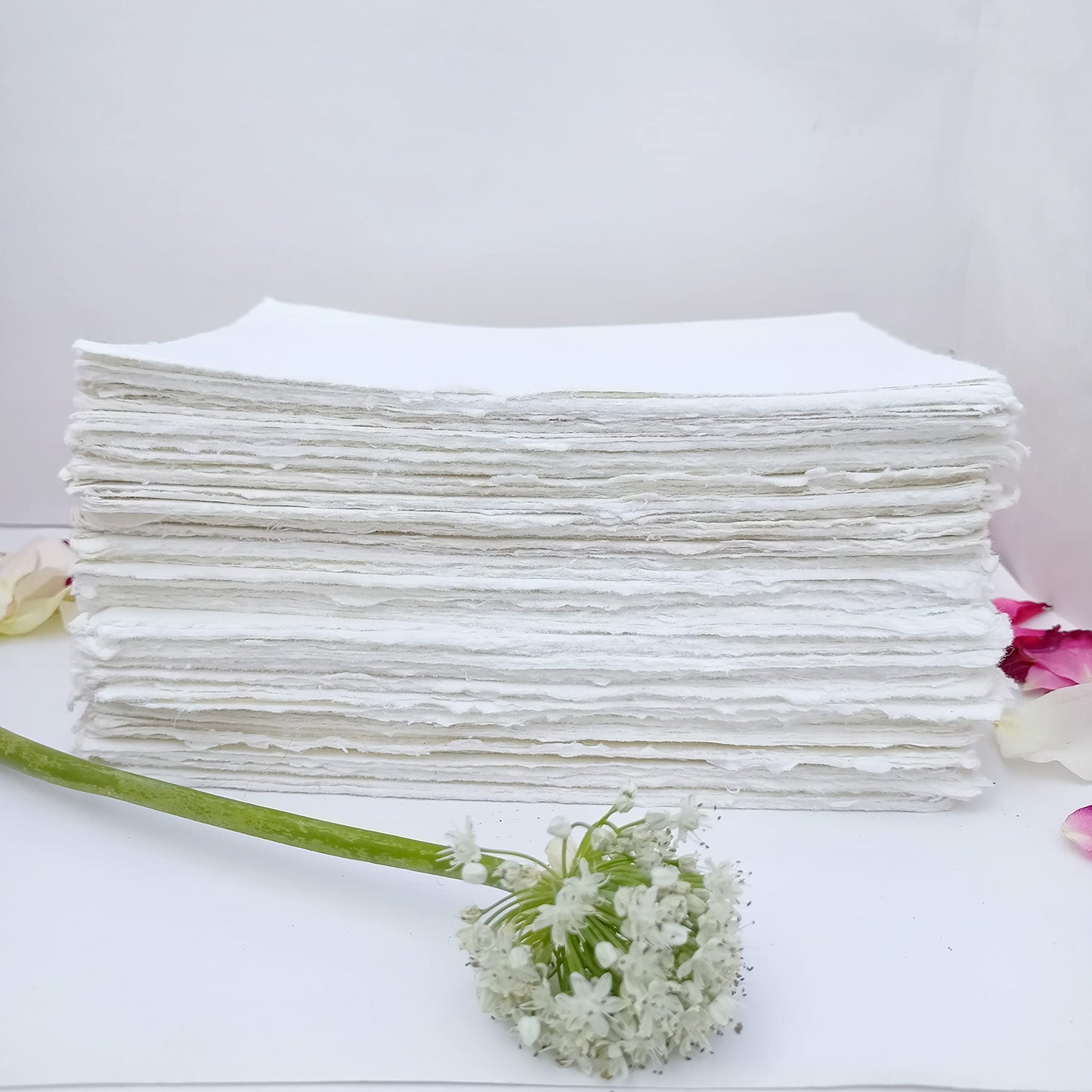 E-Tailor Handmade Cotton Paper Deckle Edge Loose Leaf Sheets 130 GSM Ivory White (5x7, Ivory-1-Pack of 50)