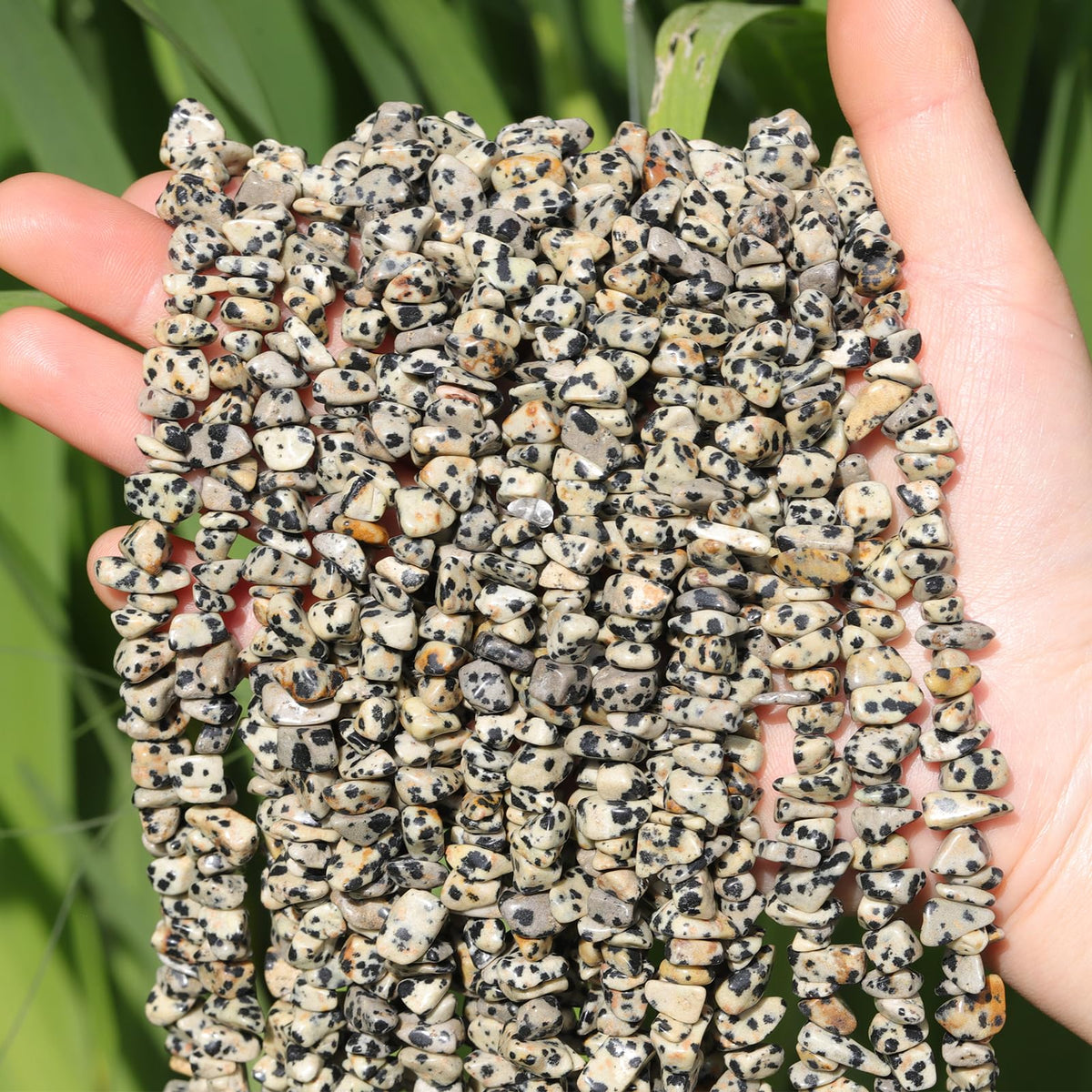 200pcs Natural Irregular Chip Stone Beads 5-8mm Pre-Drilled 30-inch Strand Semi-Precious Healing Crystal Beads for DIY Jewelry Making Bracelet Chakra Crafts Dalmation Jasper