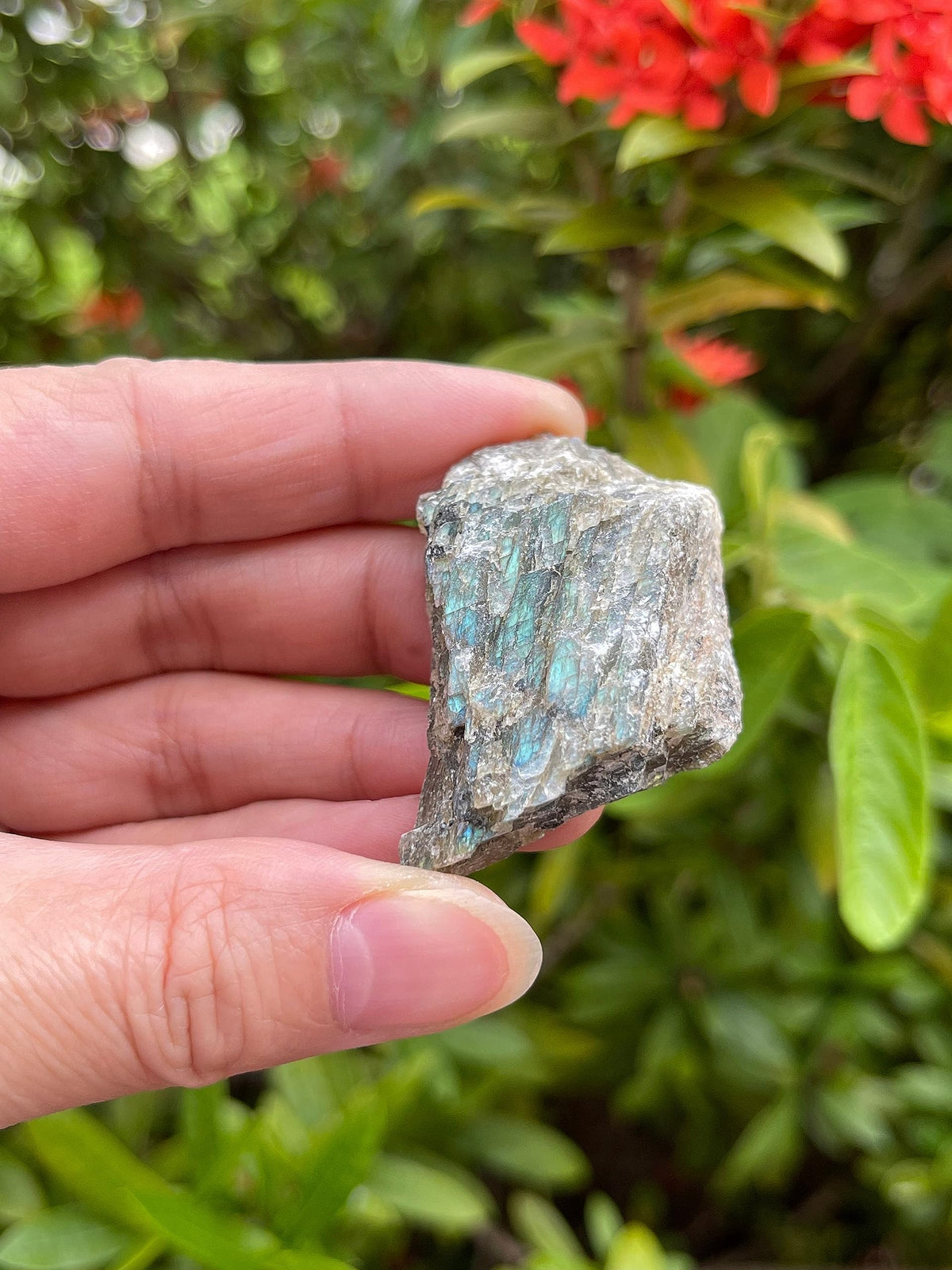 GAF TREASURES Wholesale Raw Labradorite Crystals, Natural Labradorite Stone, Natural Rough Labradorite Crystals, Labradorite Rough, Labradorite Healing Crystals (Labradorite, 0.5 Pound)