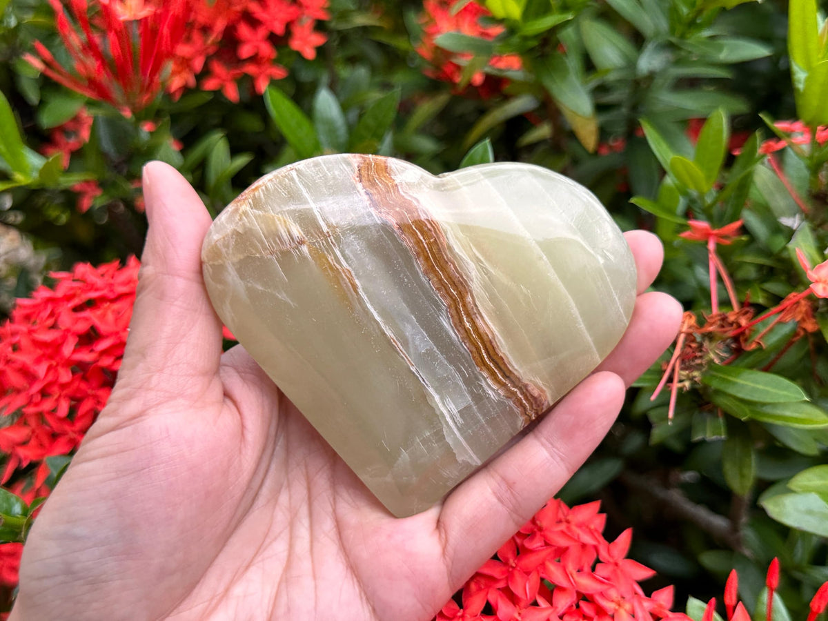 GAF TREASURES Jumbo Green Onyx Gemstone Hearts, Polished Green Onyx Puffy Hearts, Green Onyx Crystal Palm Stone, Green Onyx Healing Crystal Hearts (1 Heart)