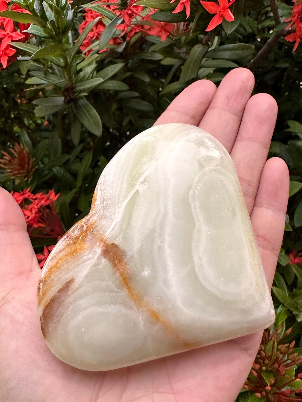 GAF TREASURES Jumbo Green Onyx Gemstone Hearts, Polished Green Onyx Puffy Hearts, Green Onyx Crystal Palm Stone, Green Onyx Healing Crystal Hearts (1 Heart)